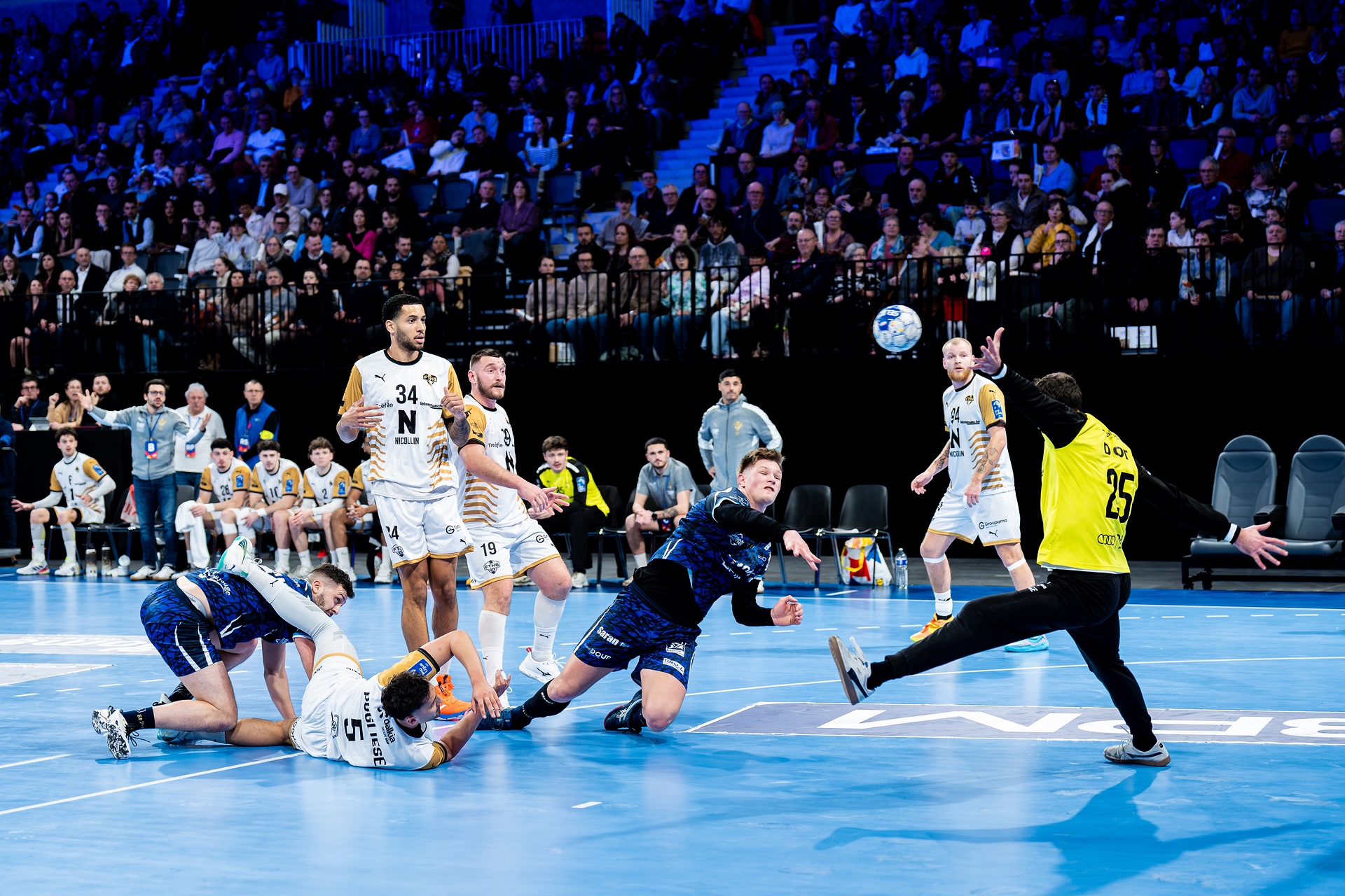 DSC00056.jpg_compressed