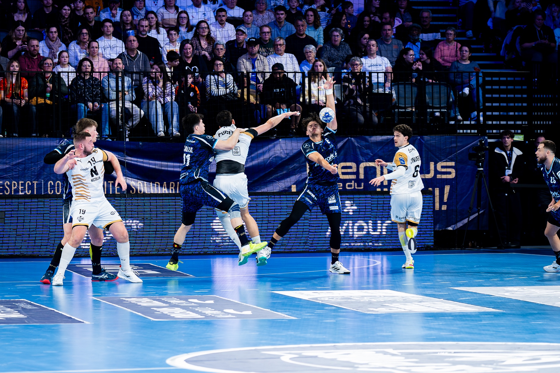 DSC00176.jpg_compressed