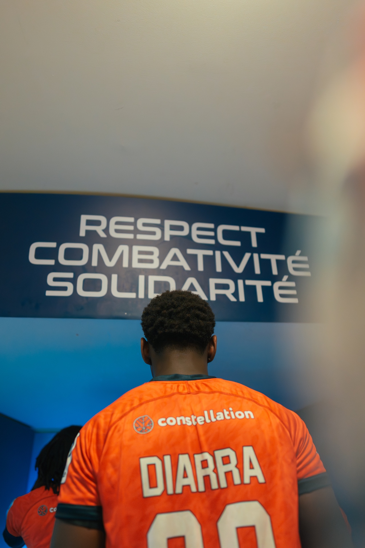 DSC00184.jpg_compressed