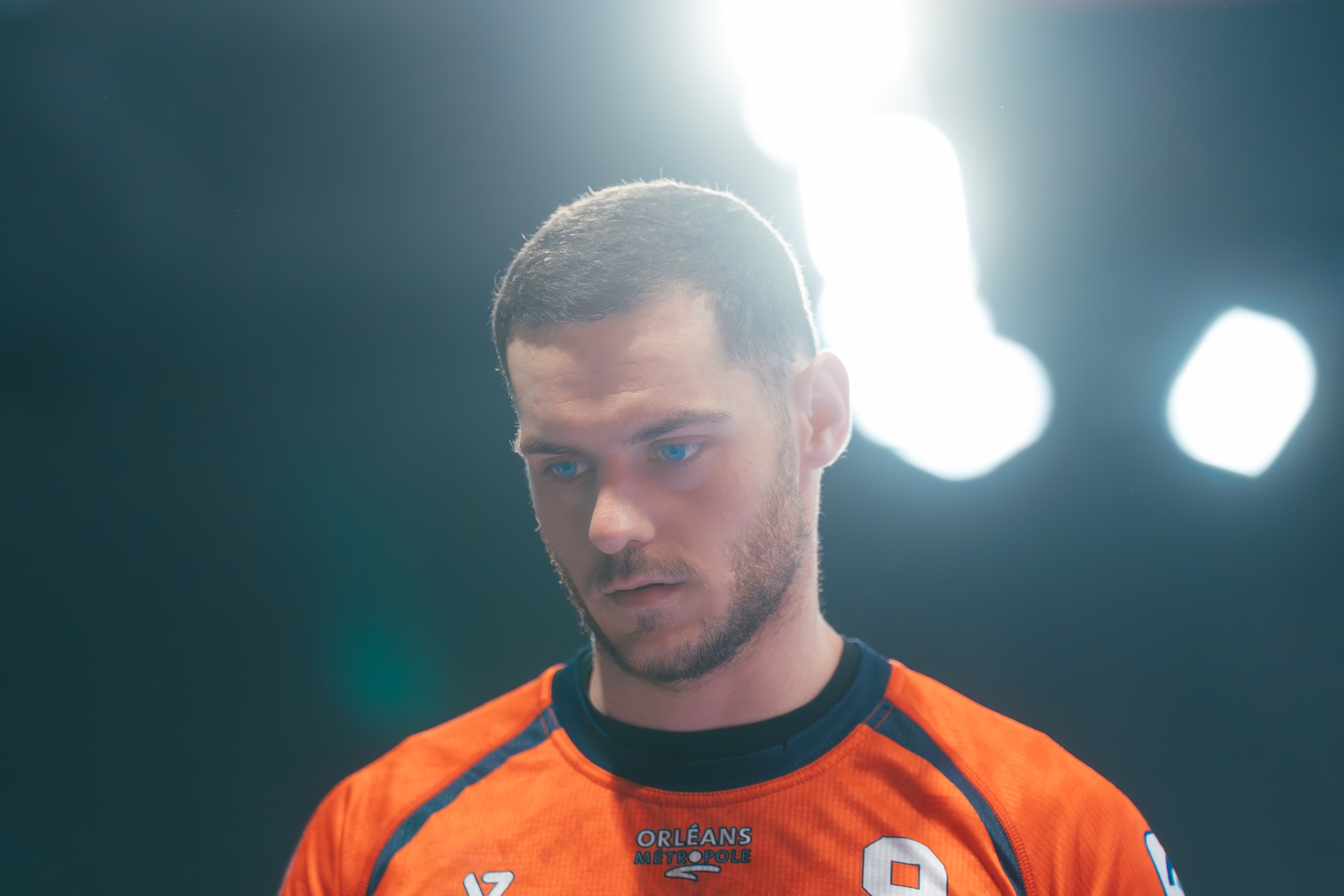 DSC00252.jpg_compressed