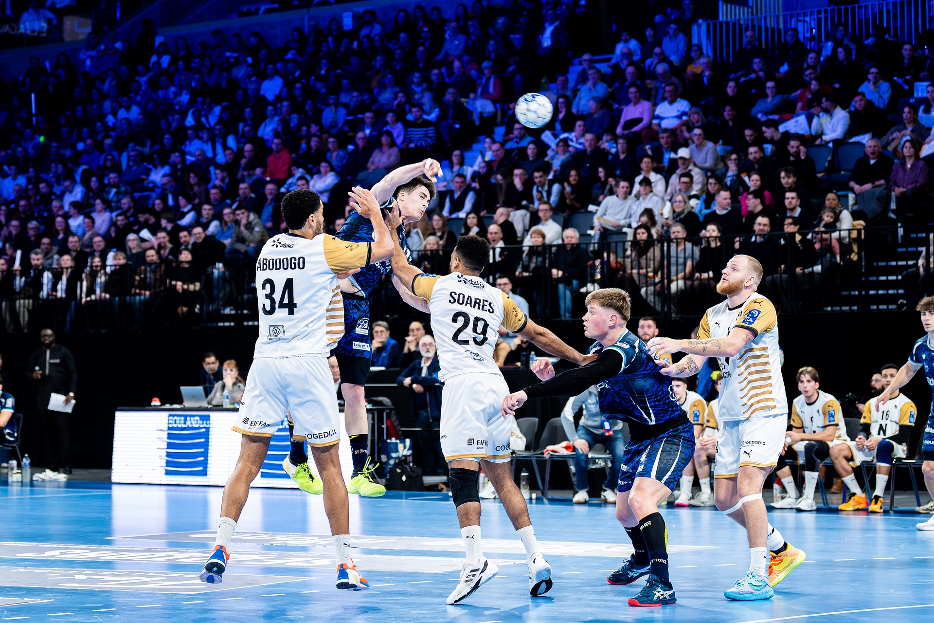 DSC00257.jpg_compressed