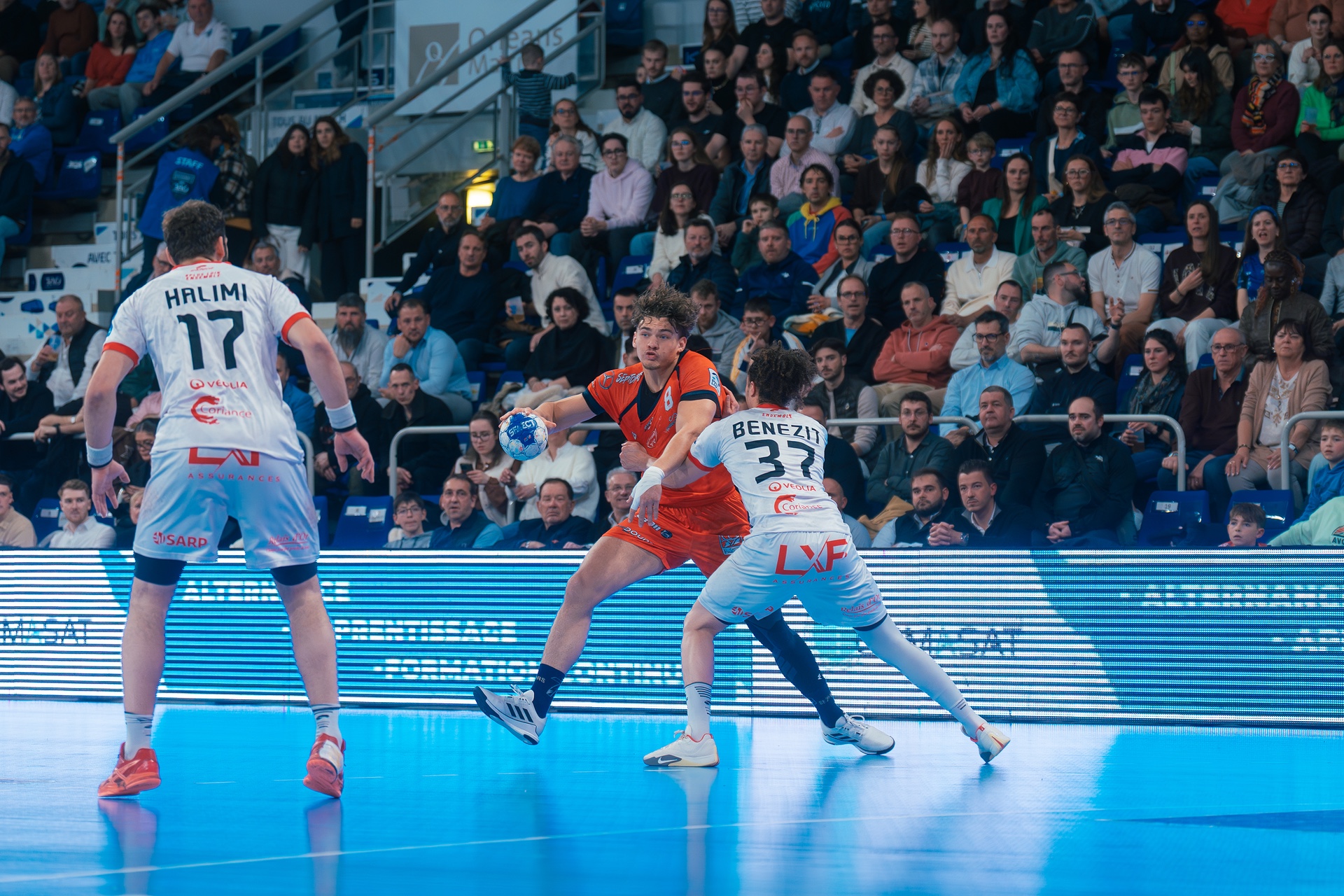 DSC00262.jpg_compressed