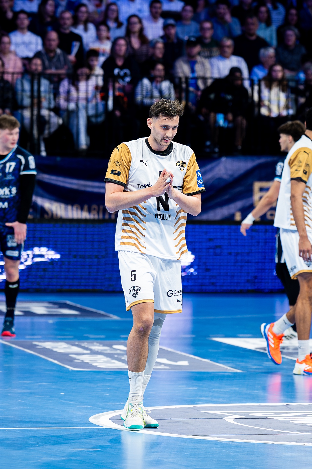 DSC00285.jpg_compressed