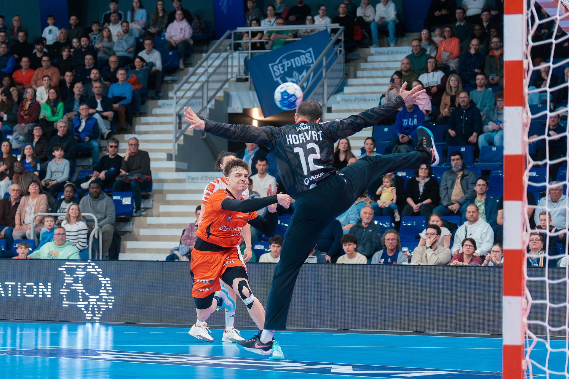 DSC00303.jpg_compressed