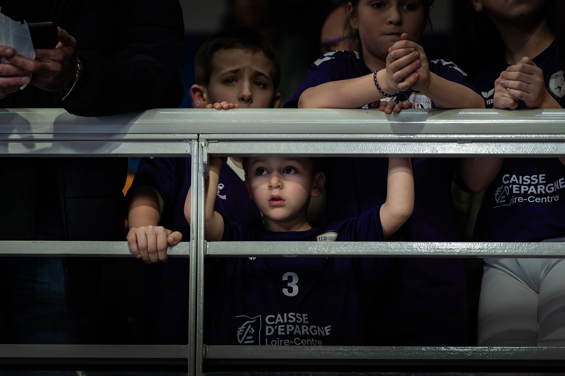 DSC00315.jpg_compressed