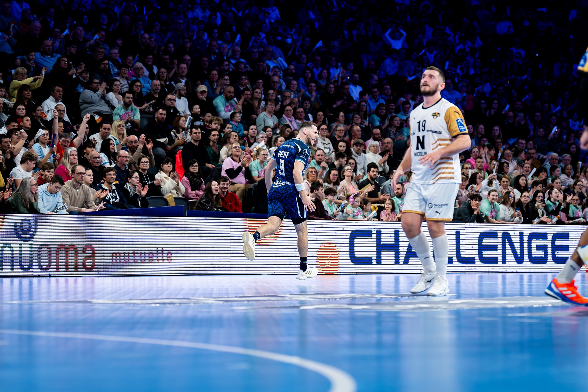 DSC00354.jpg_compressed