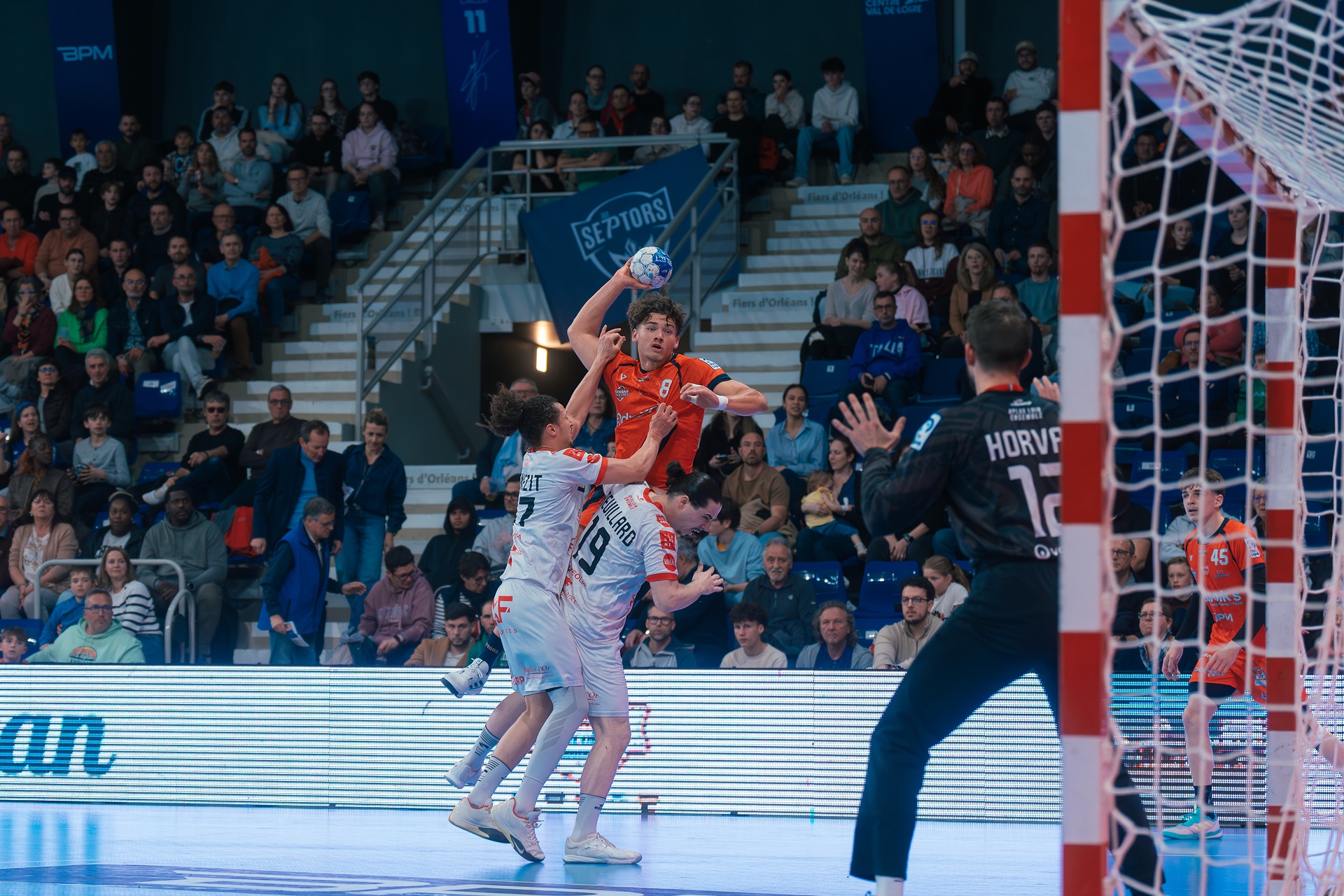 DSC00384.jpg_compressed