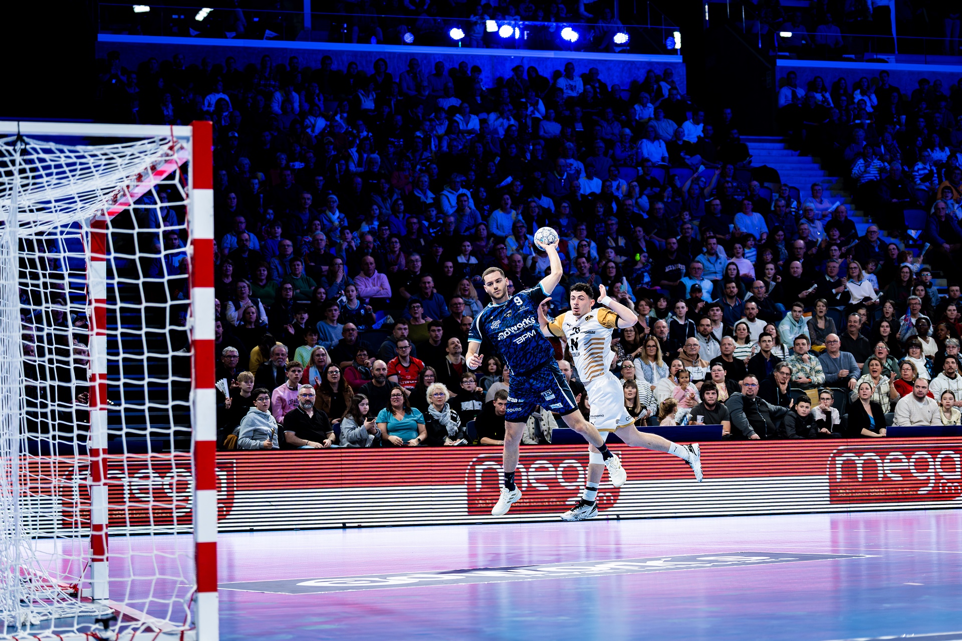 DSC00417.jpg_compressed