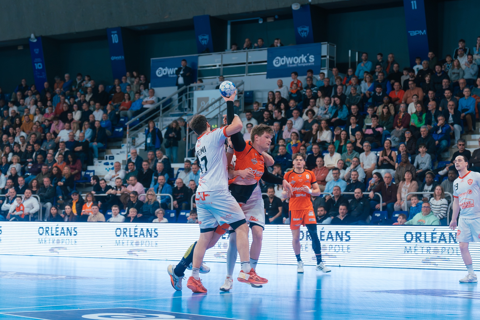 DSC00431.jpg_compressed