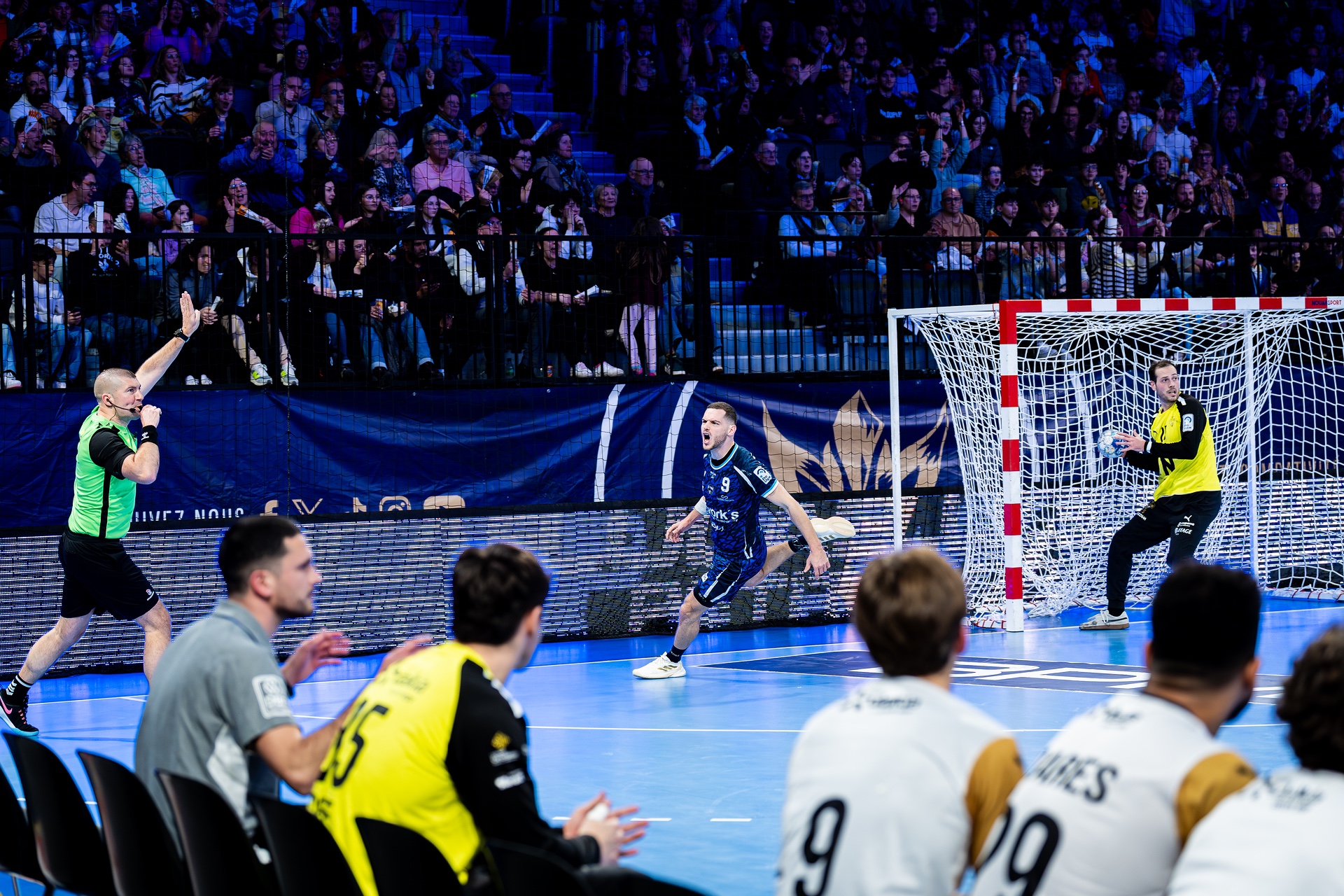 DSC00463.jpg_compressed