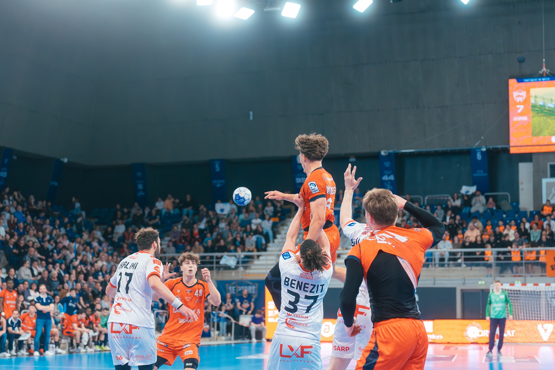 DSC00500.jpg_compressed