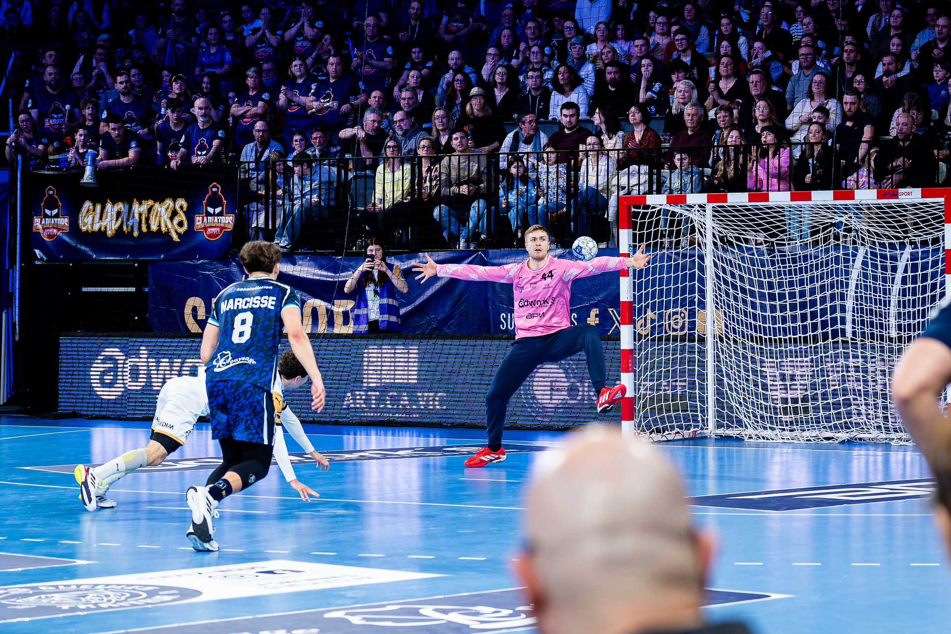 DSC00512.jpg_compressed