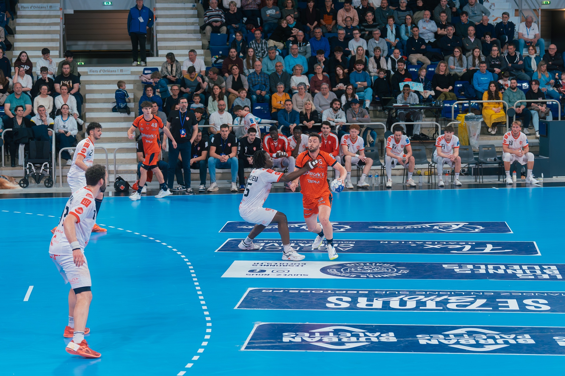 DSC00528.jpg_compressed