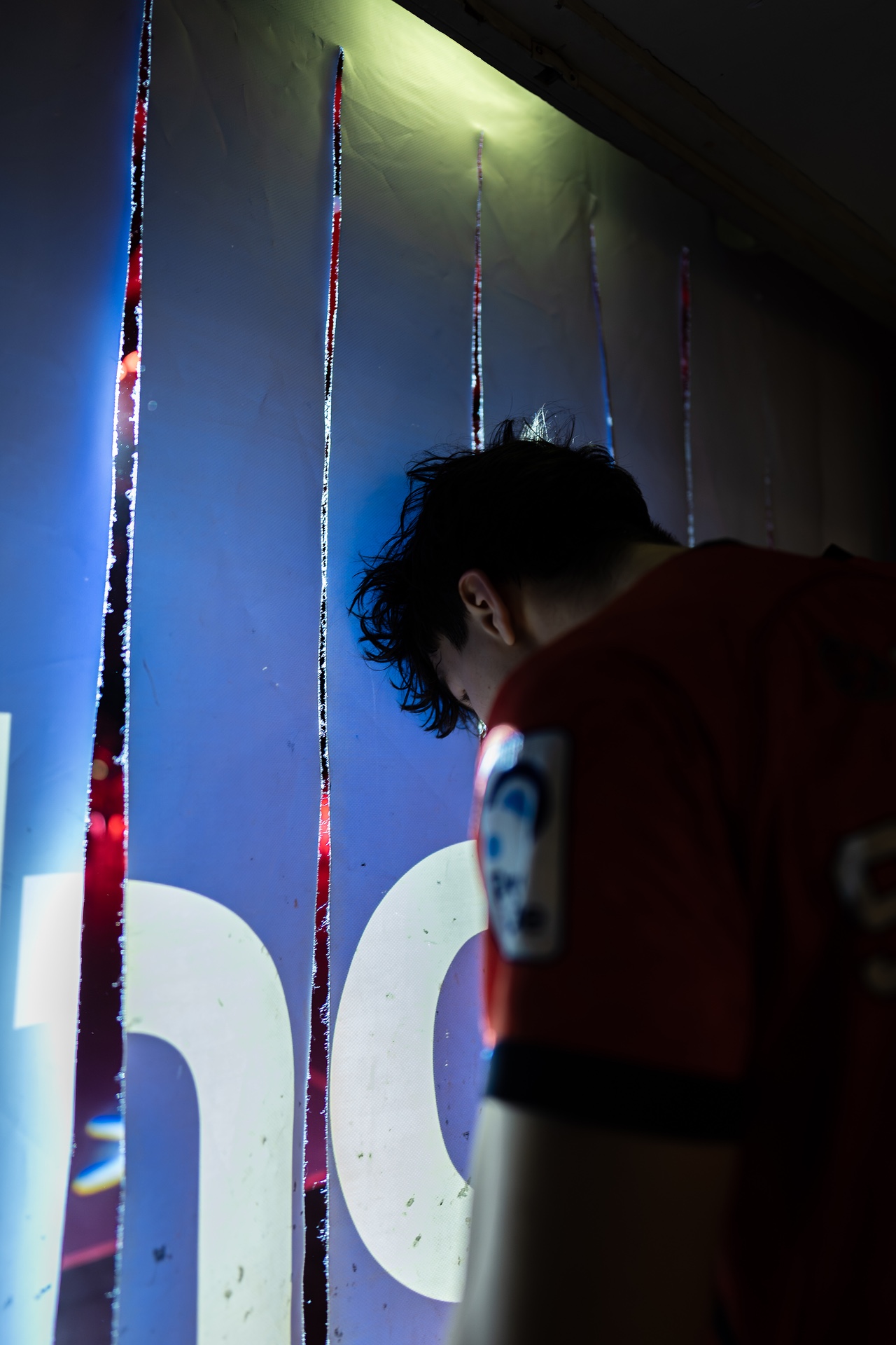 DSC00530.jpg_compressed