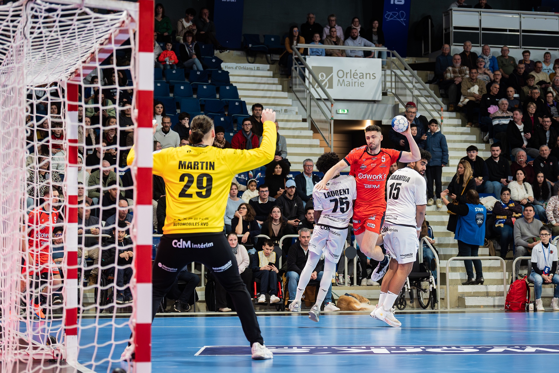 DSC00586.jpg_compressed