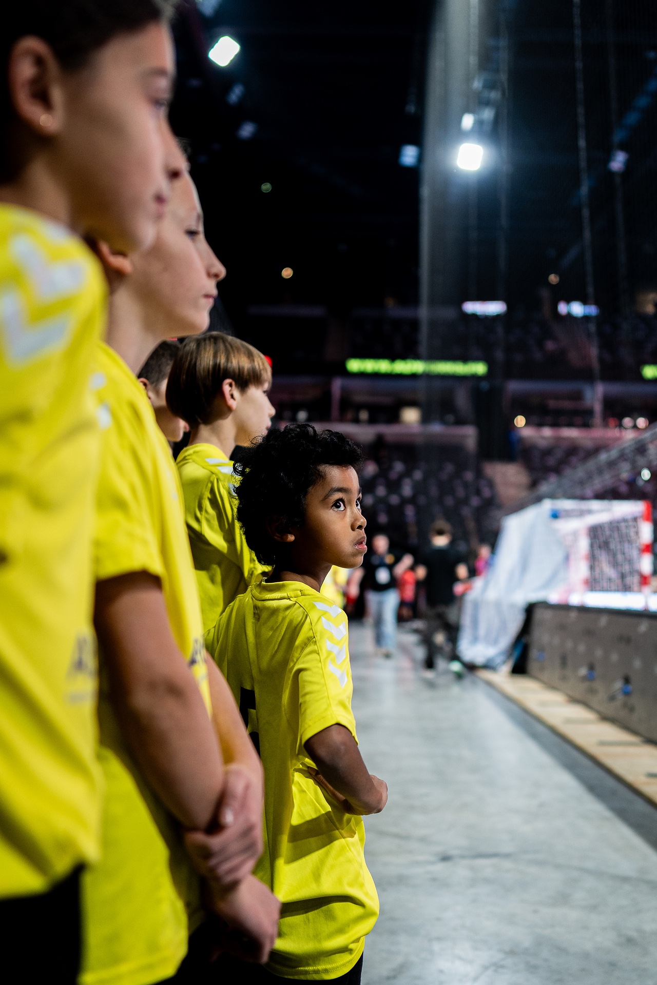 DSC00596.jpg_compressed