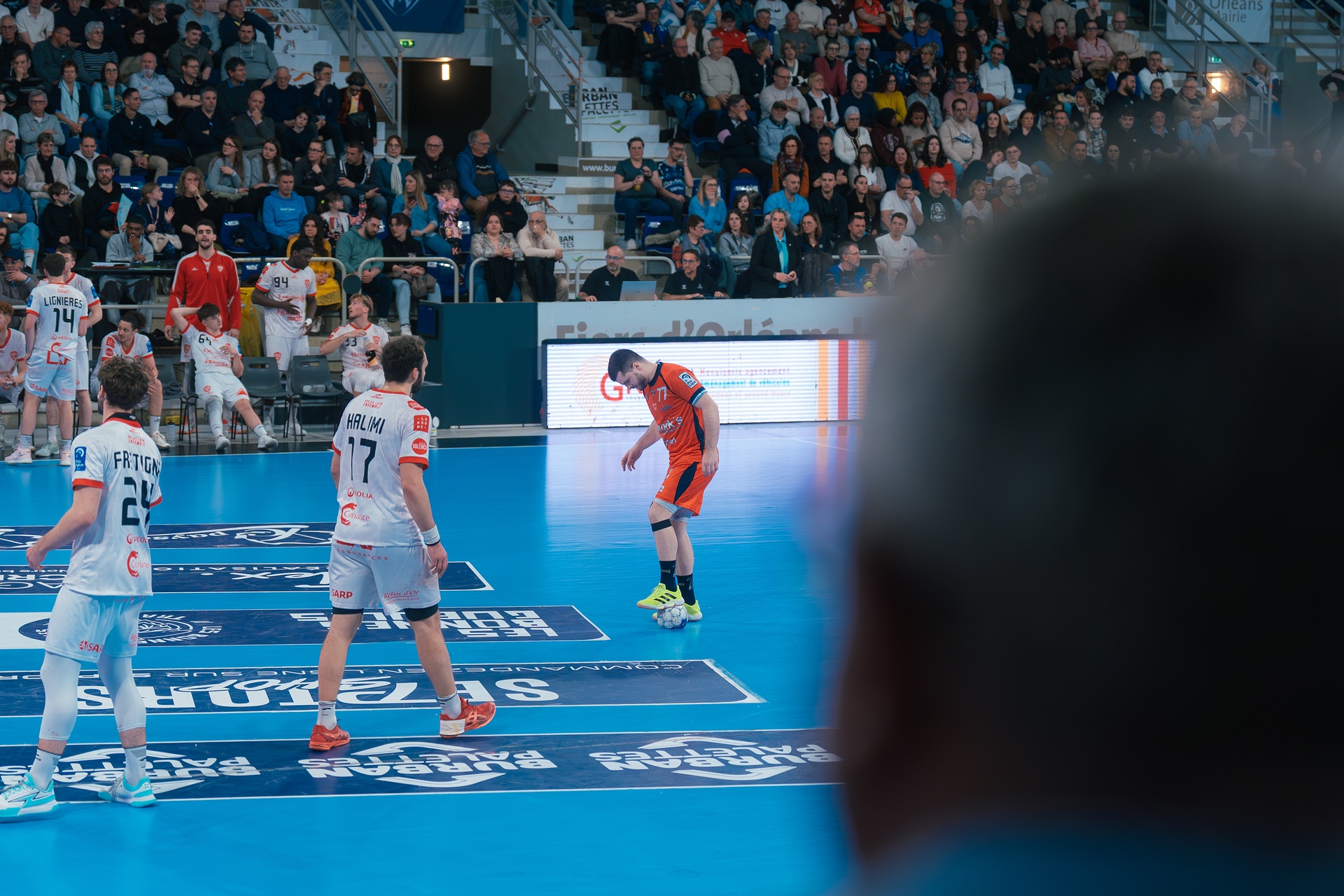 DSC00624.jpg_compressed