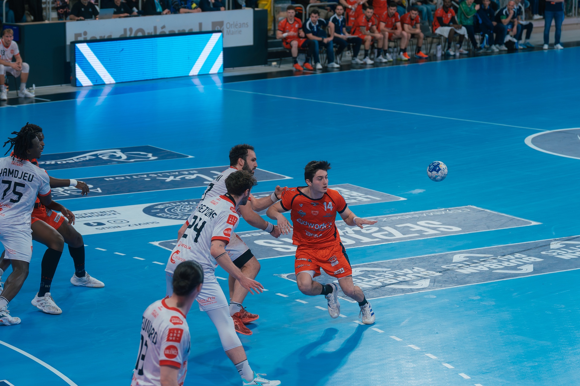 DSC00646.jpg_compressed