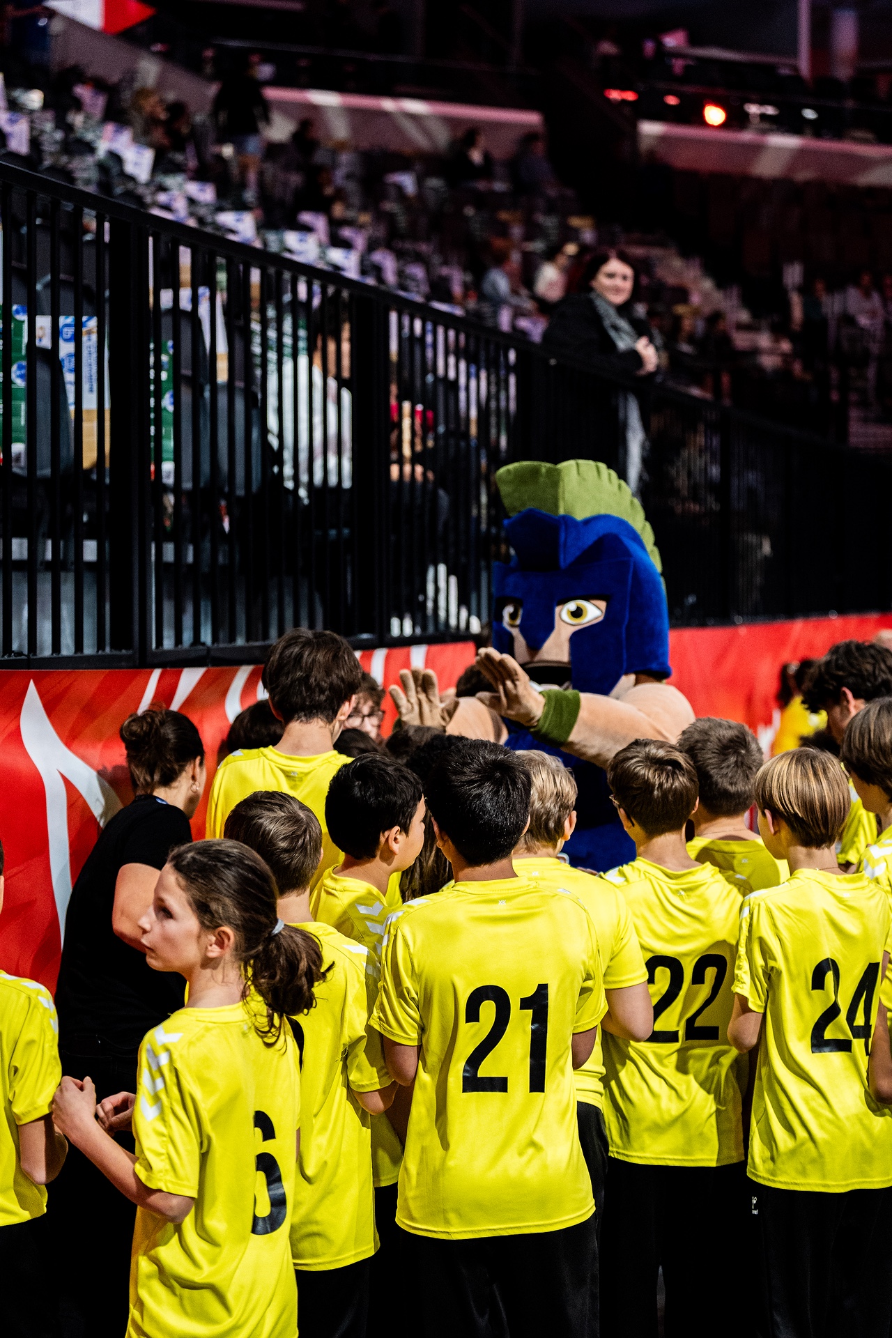 DSC00702.jpg_compressed