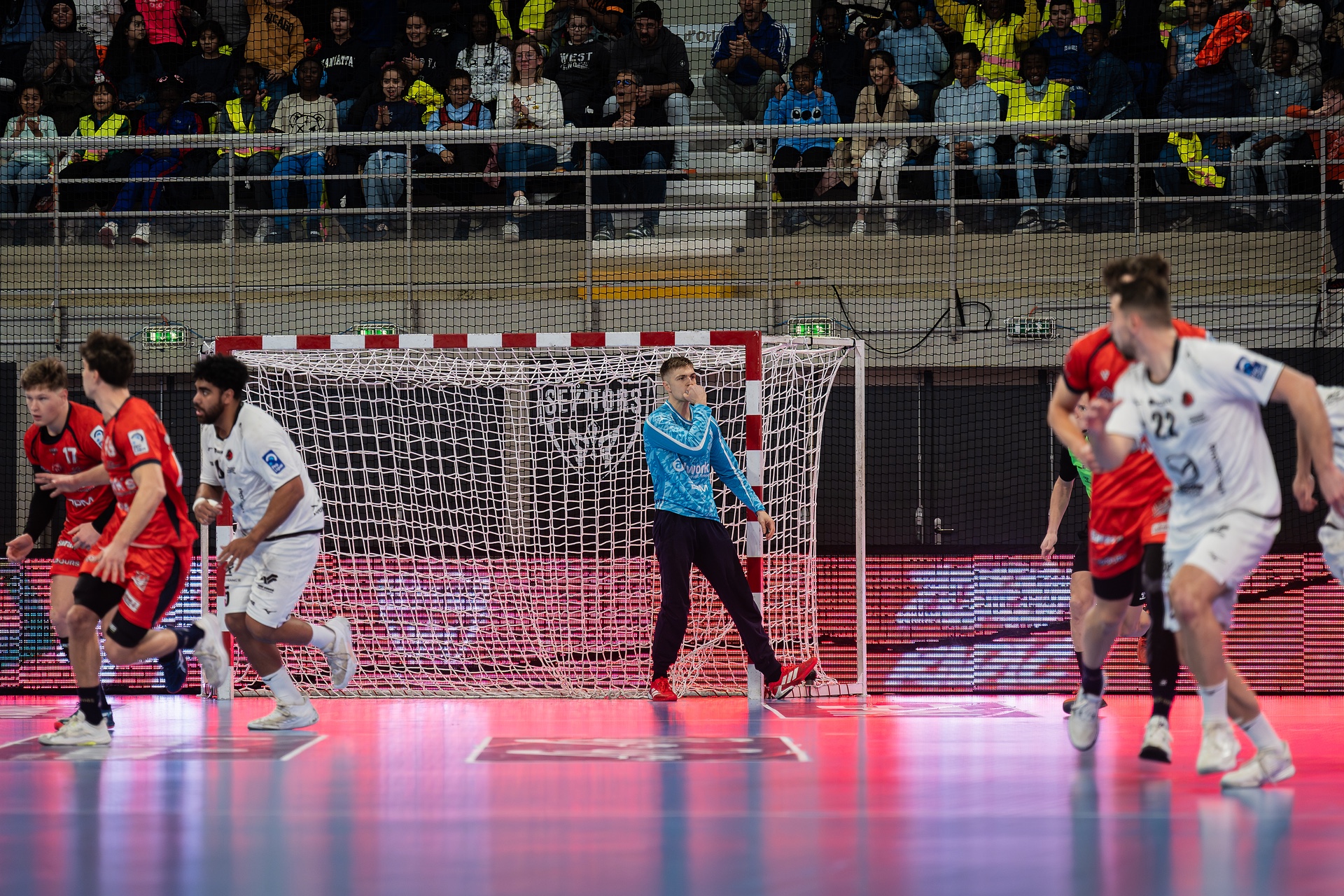 DSC00706.jpg_compressed