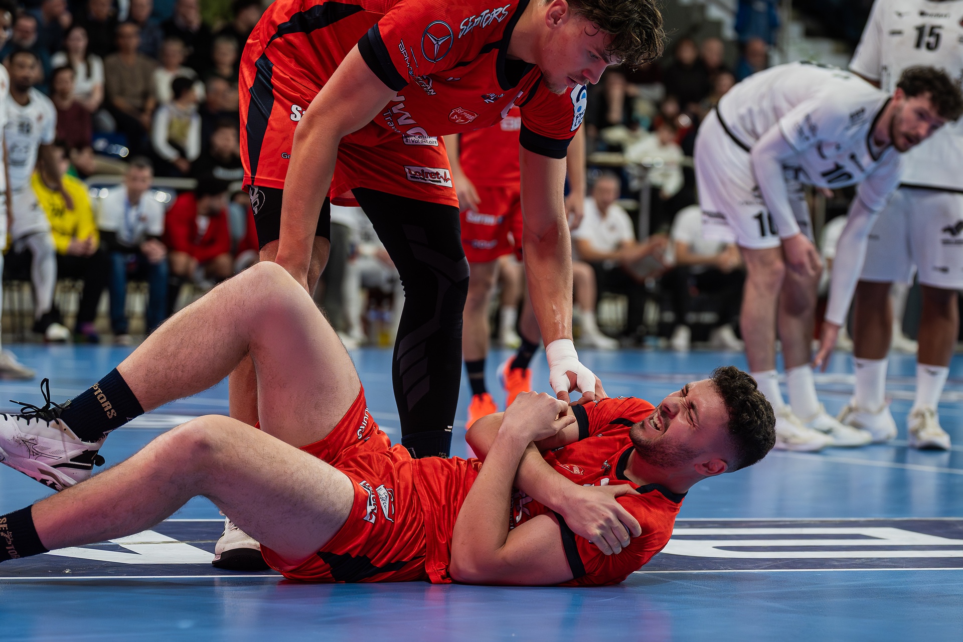 DSC00780.jpg_compressed