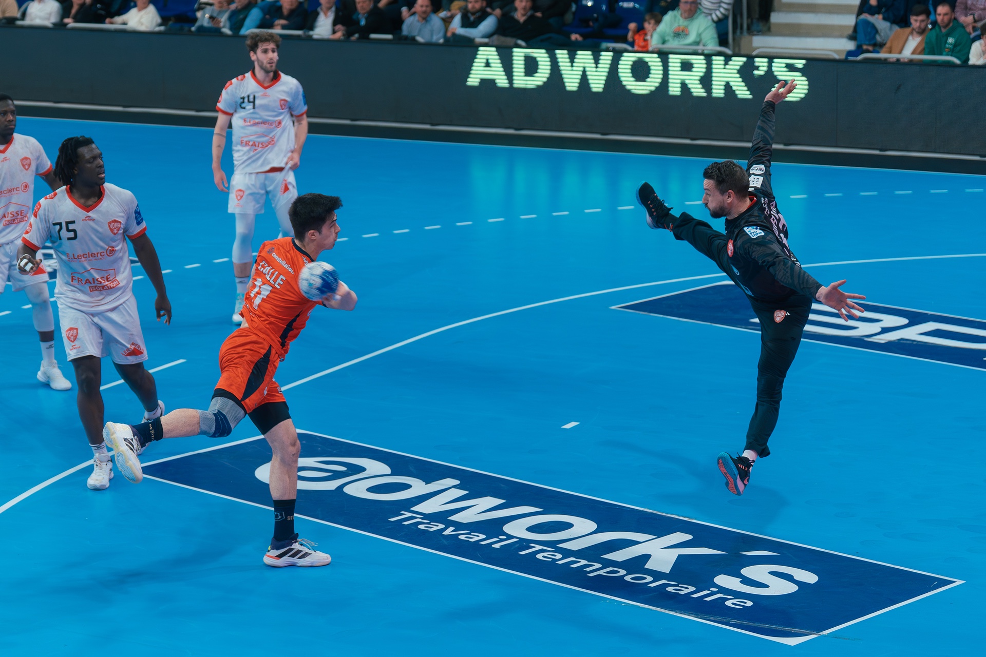 DSC00784.jpg_compressed