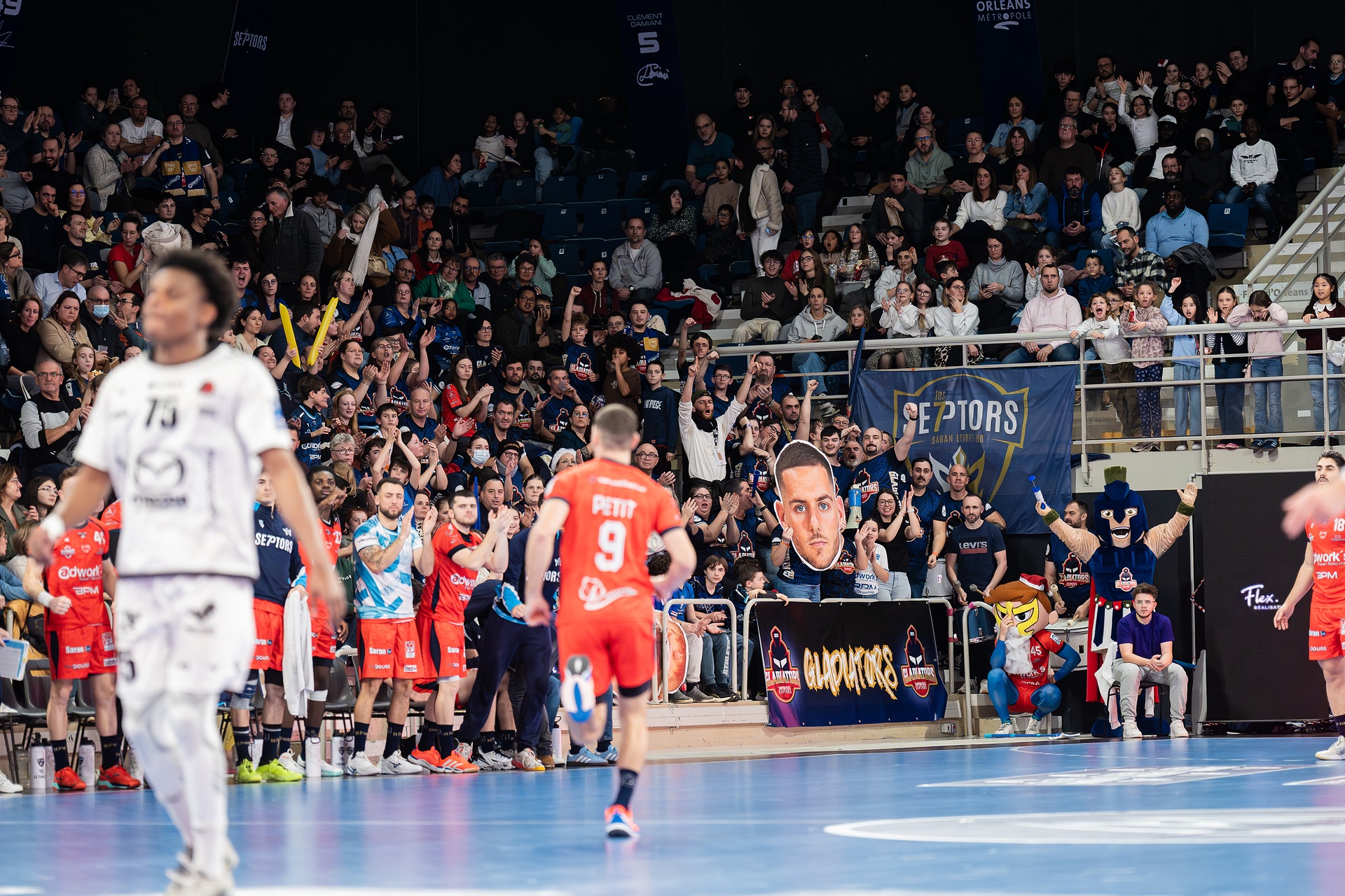 DSC00794.jpg_compressed