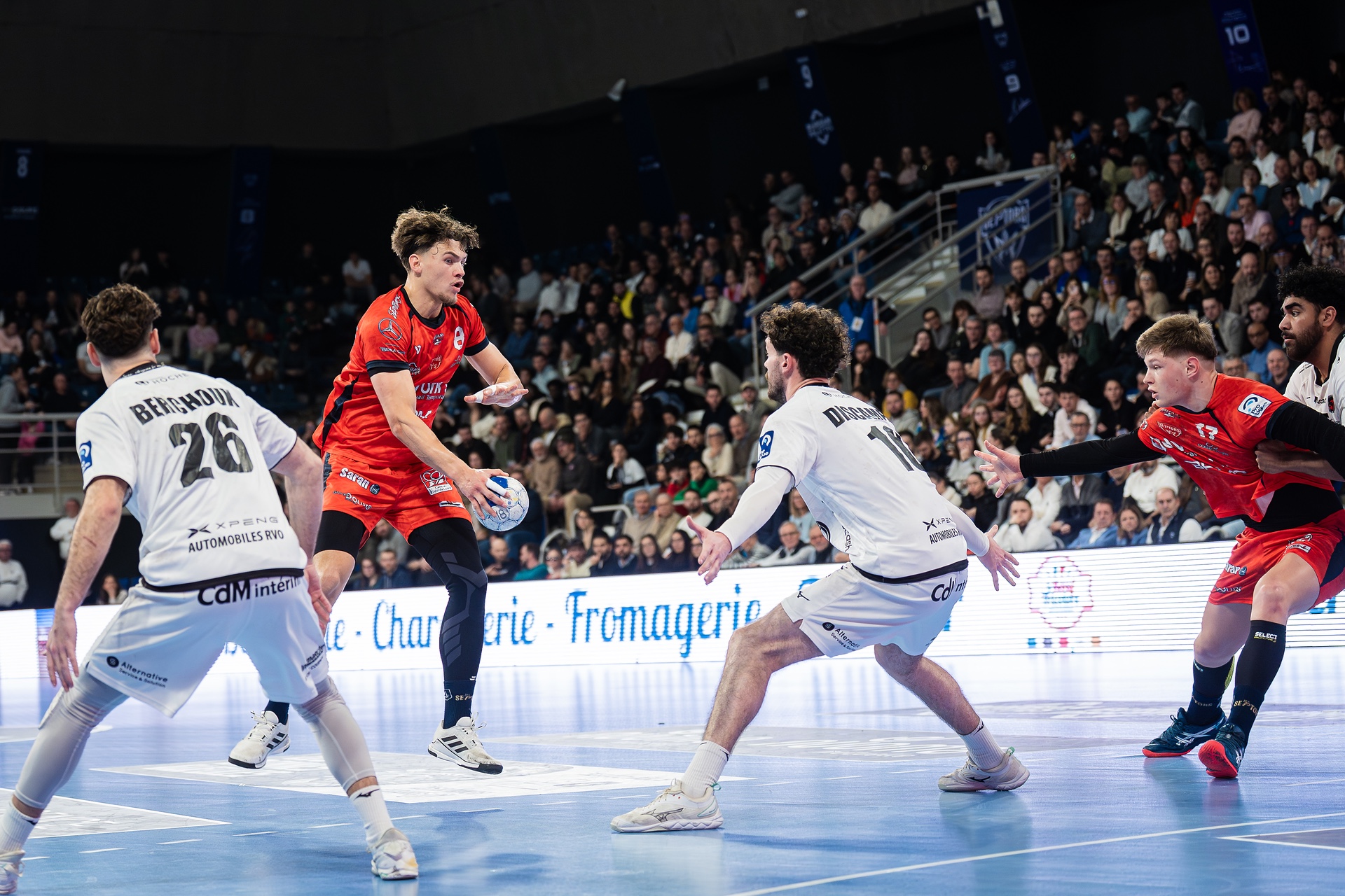 DSC00860.jpg_compressed