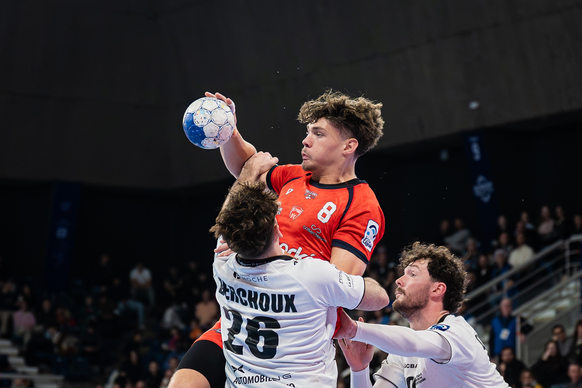 DSC00873.jpg_compressed