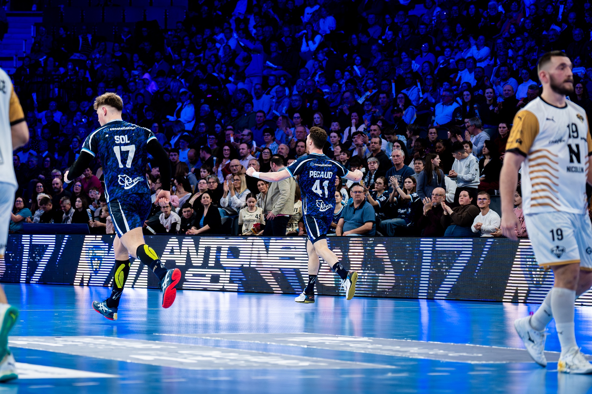 DSC00893.jpg_compressed