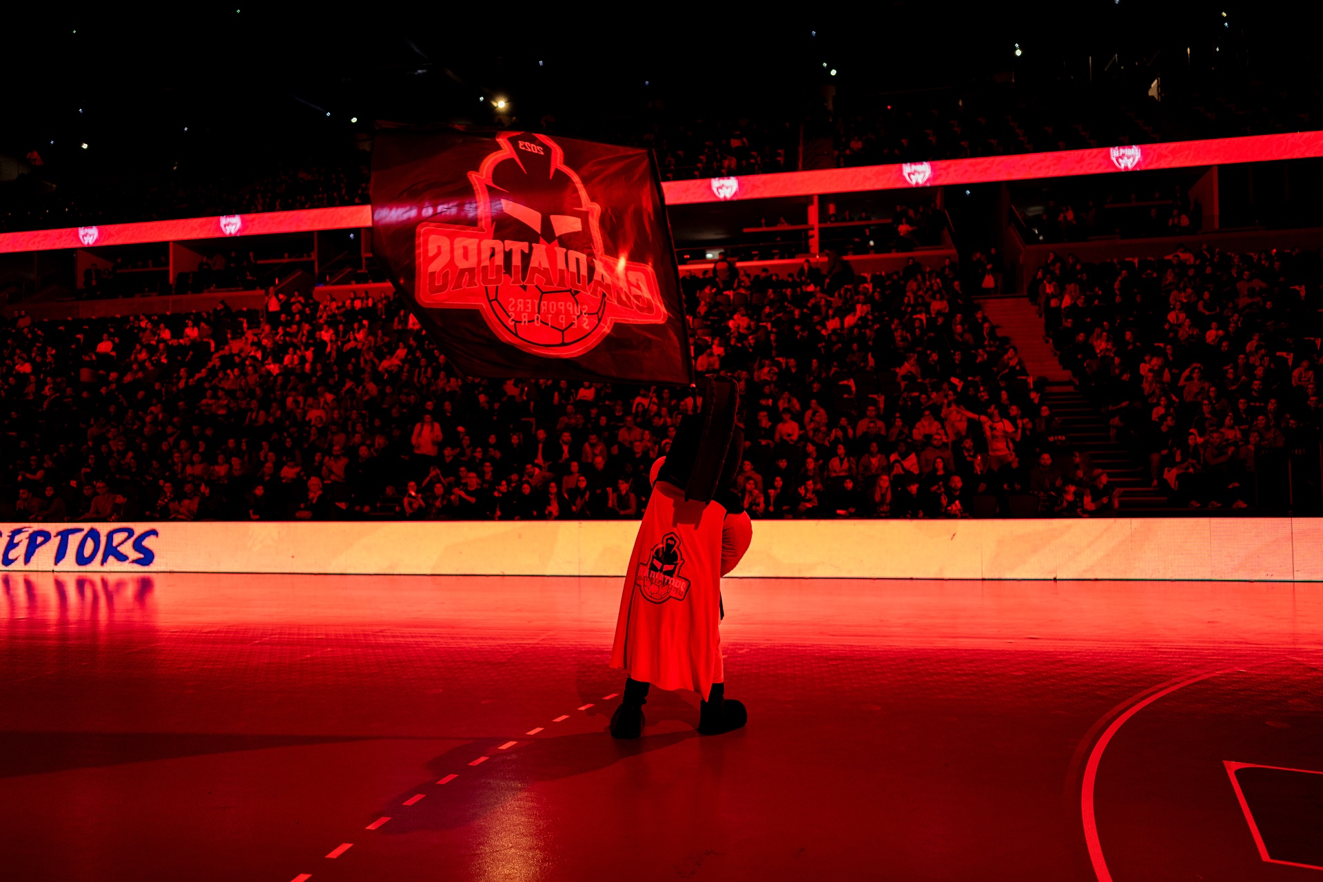 DSC00960.jpg_compressed