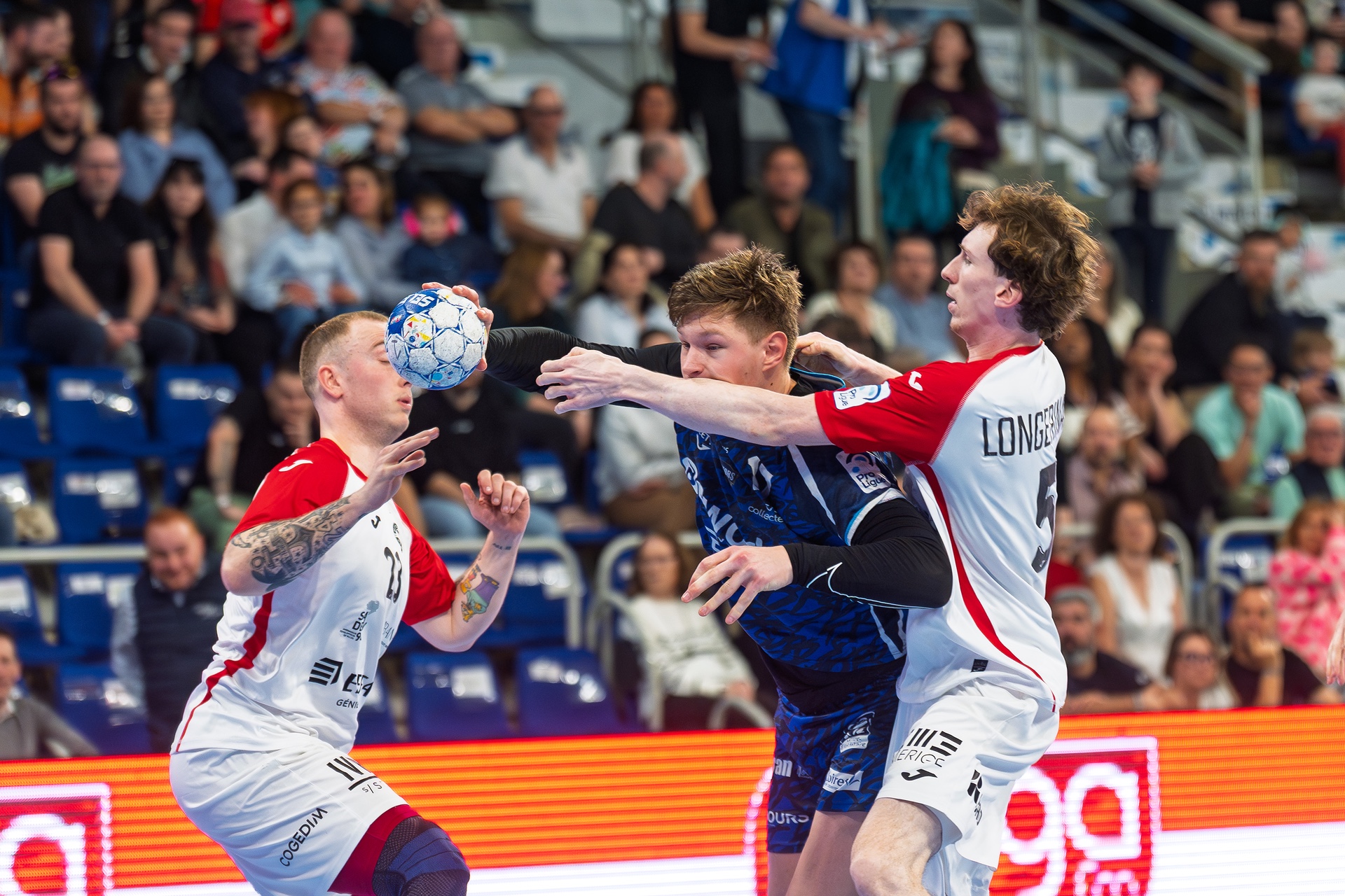 DSC01120-2.jpg_compressed