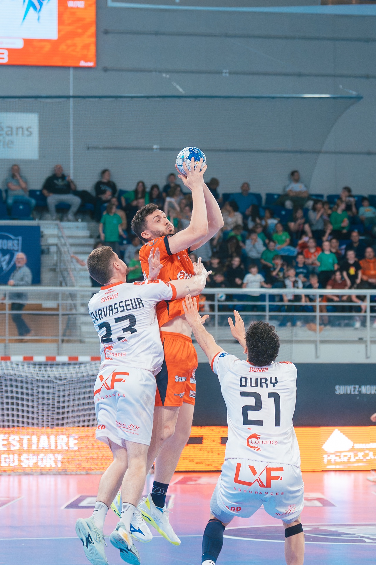 DSC01158.jpg_compressed