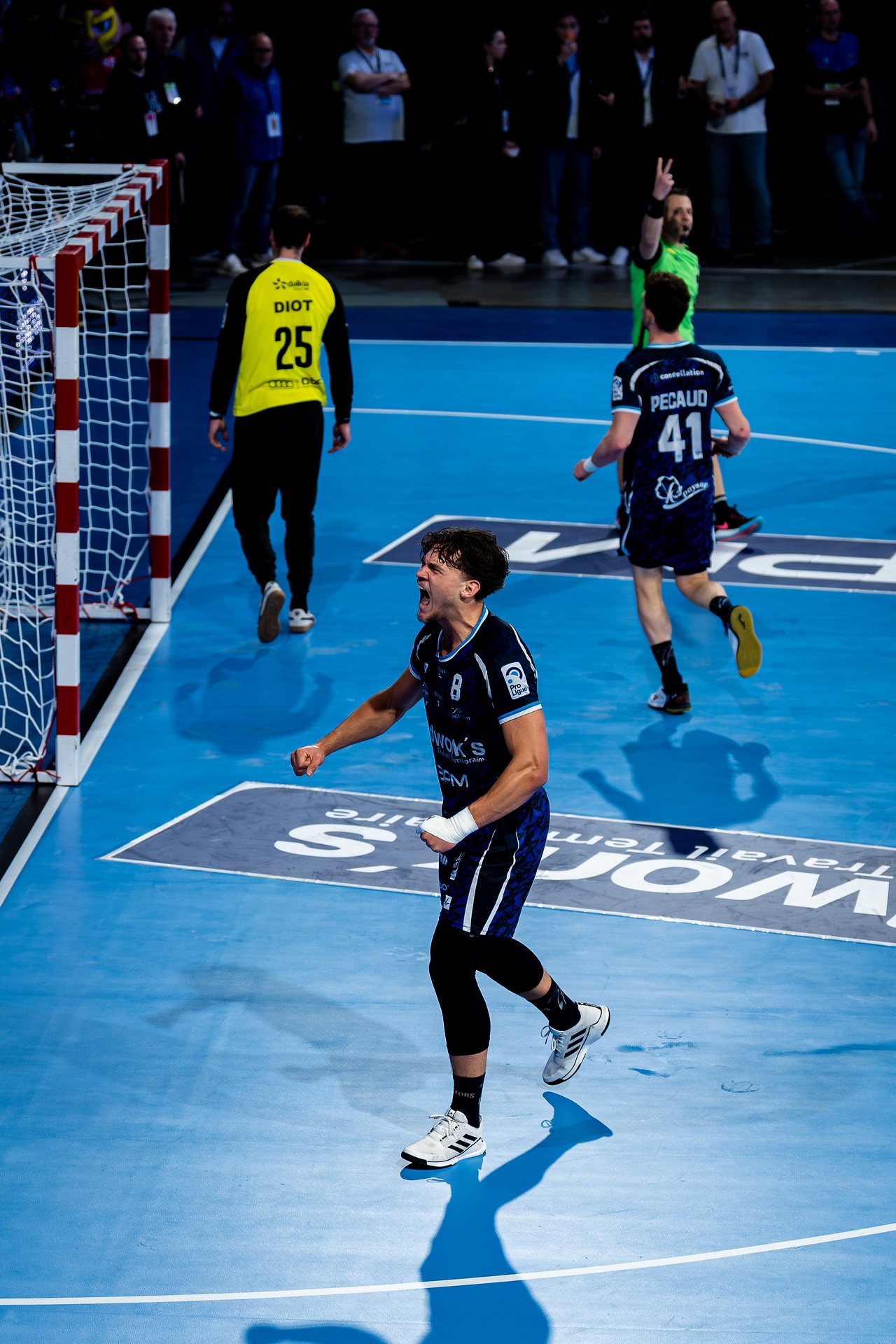 DSC01187.jpg_compressed