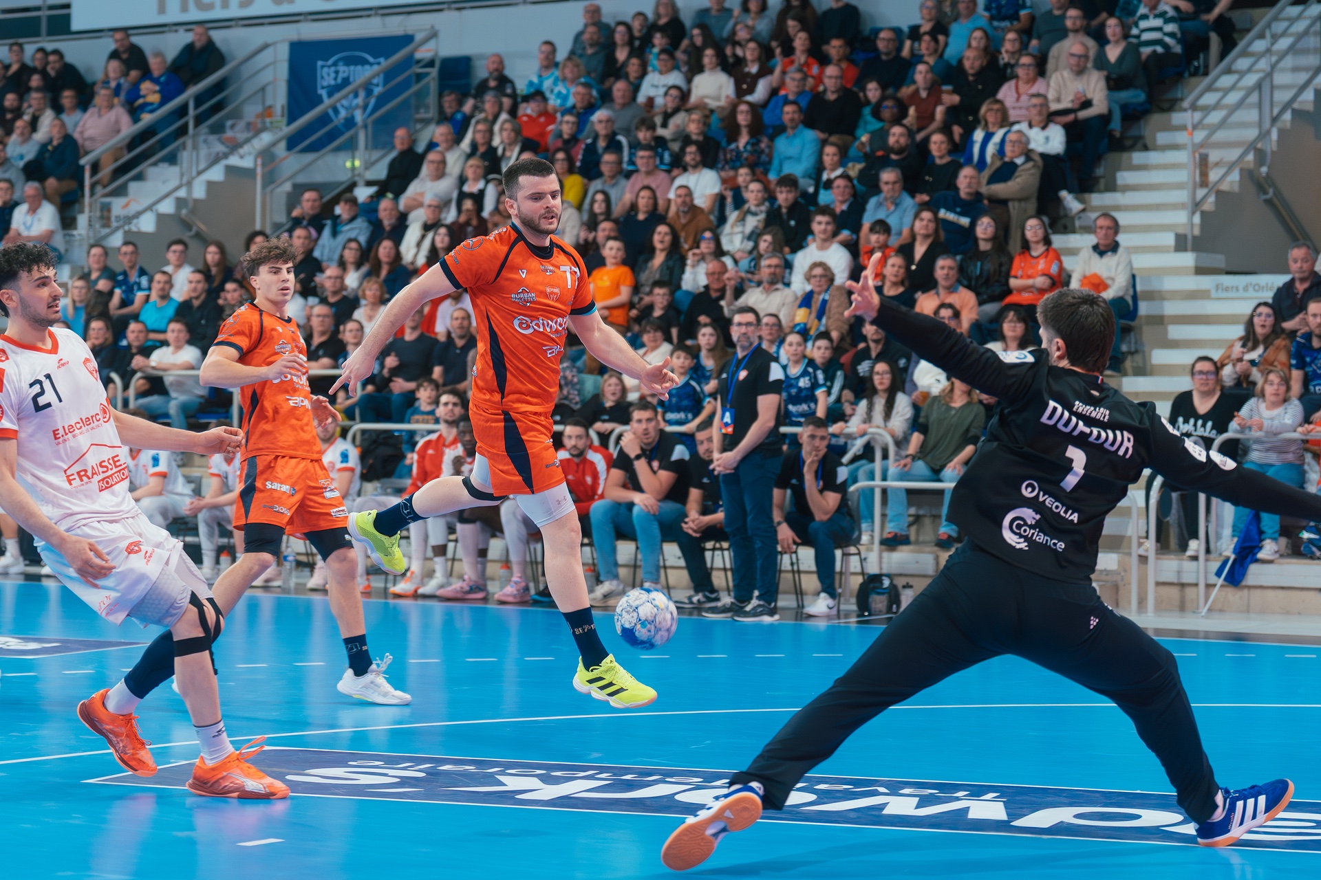 DSC01194.jpg_compressed