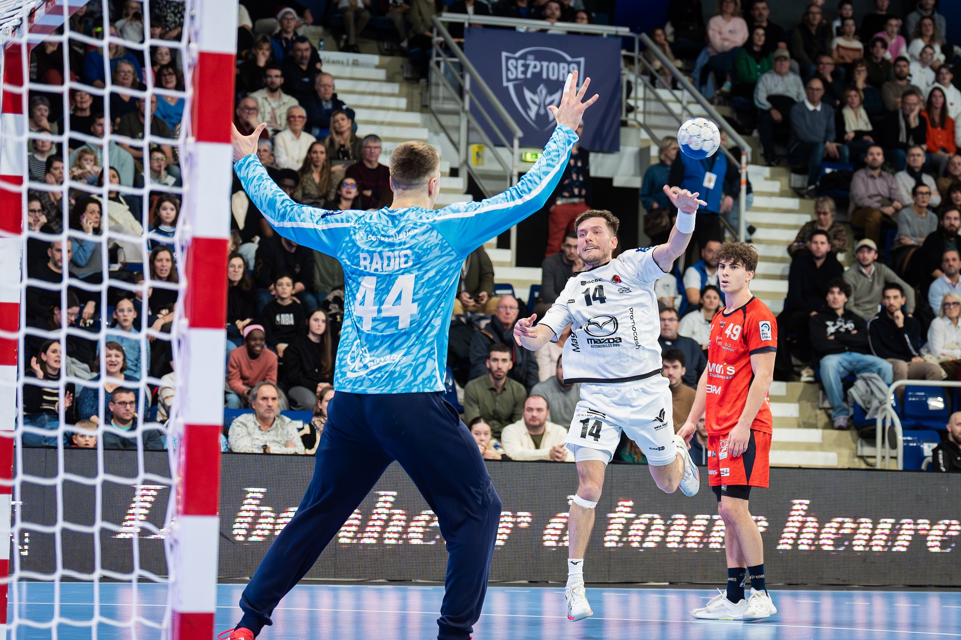 DSC01207-3.jpg_compressed