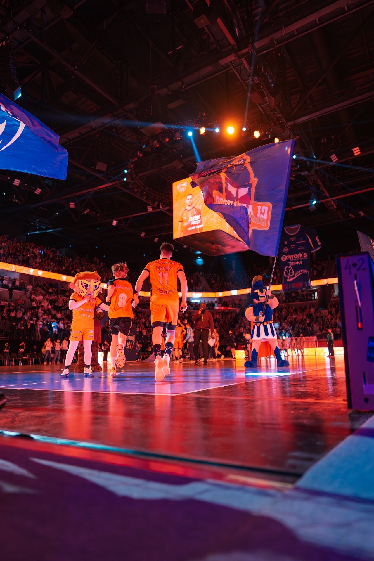 DSC01232.jpg_compressed