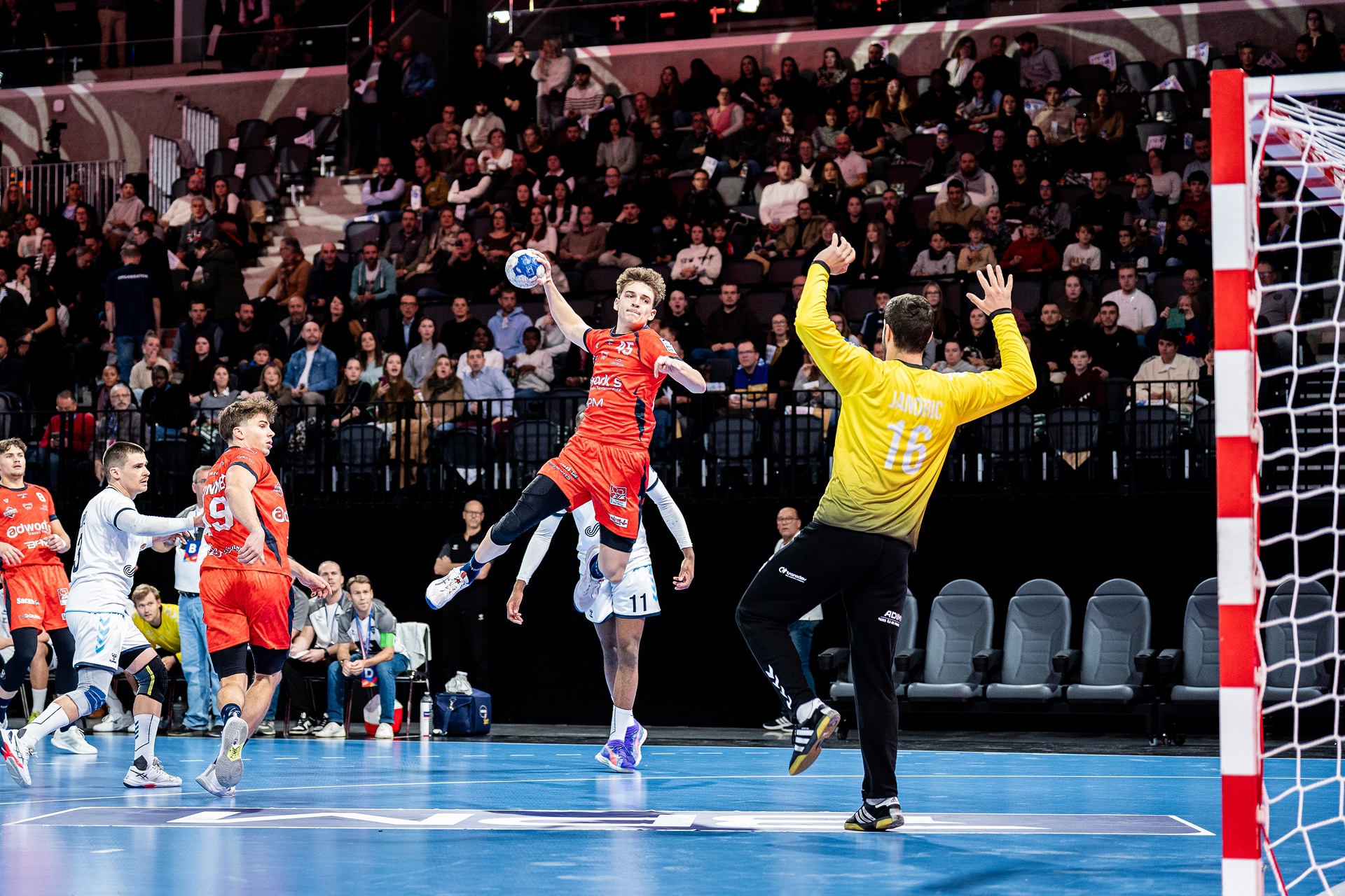 DSC01237-3.jpg_compressed