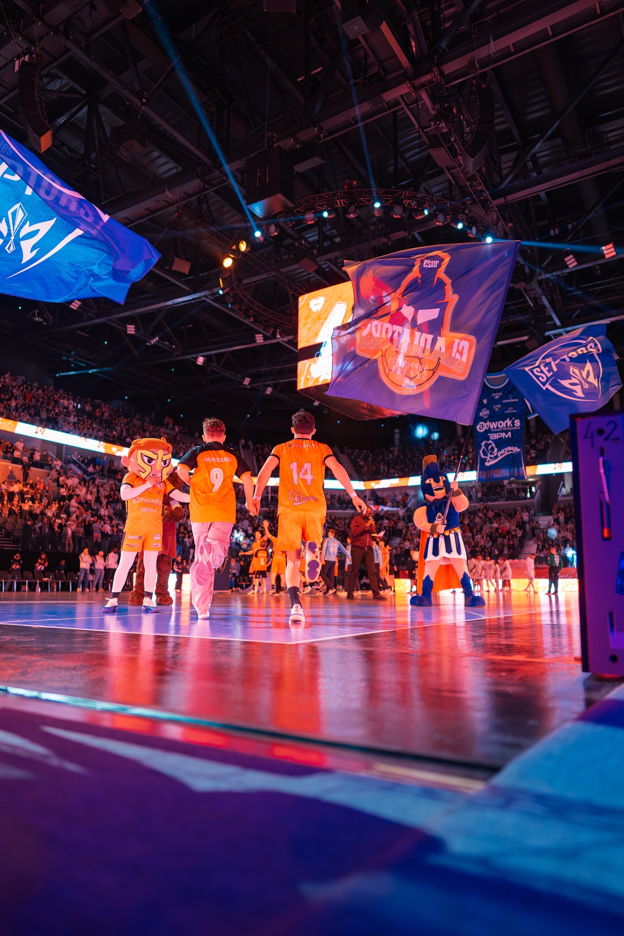 DSC01237.jpg_compressed