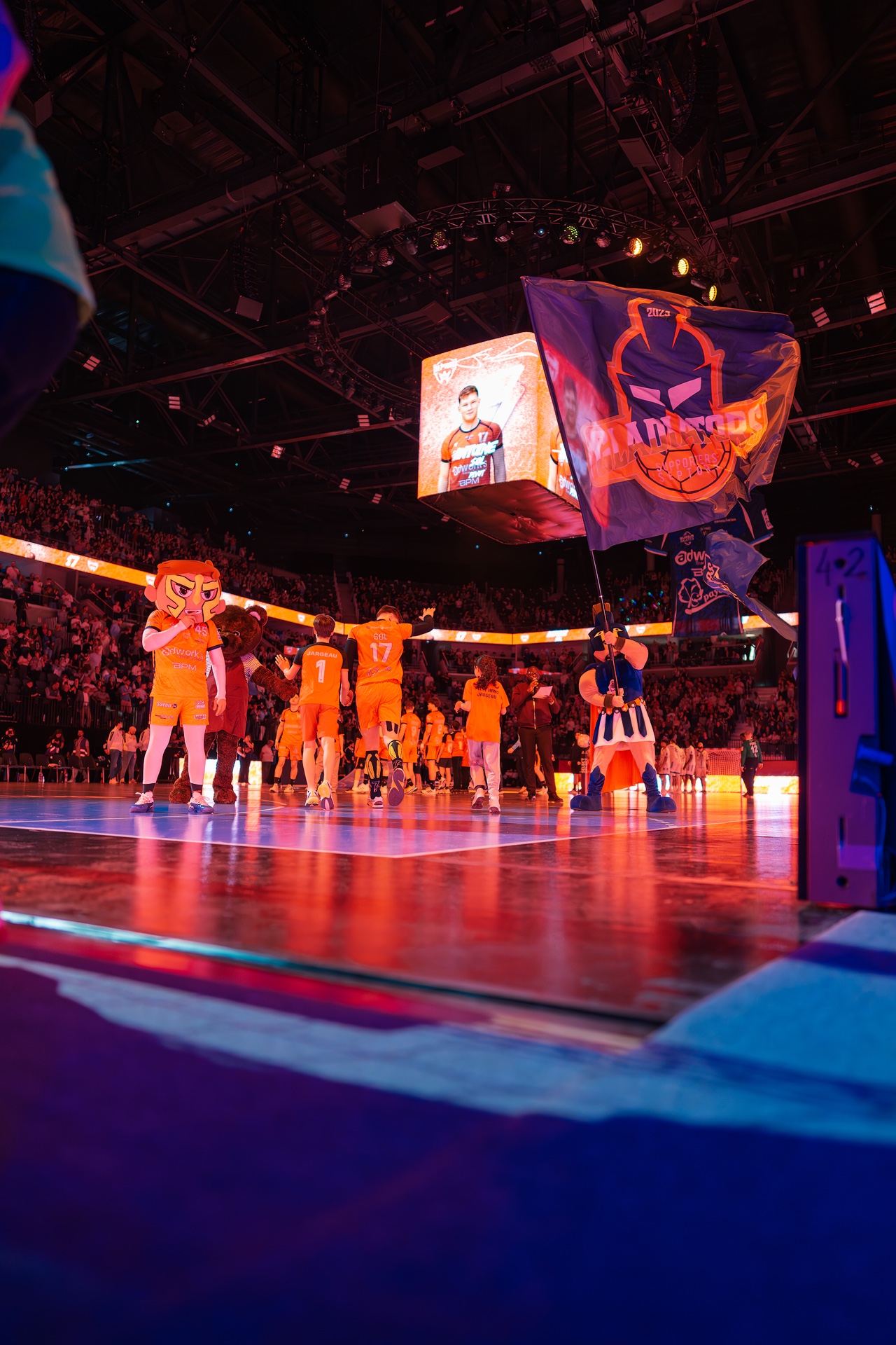 DSC01244.jpg_compressed