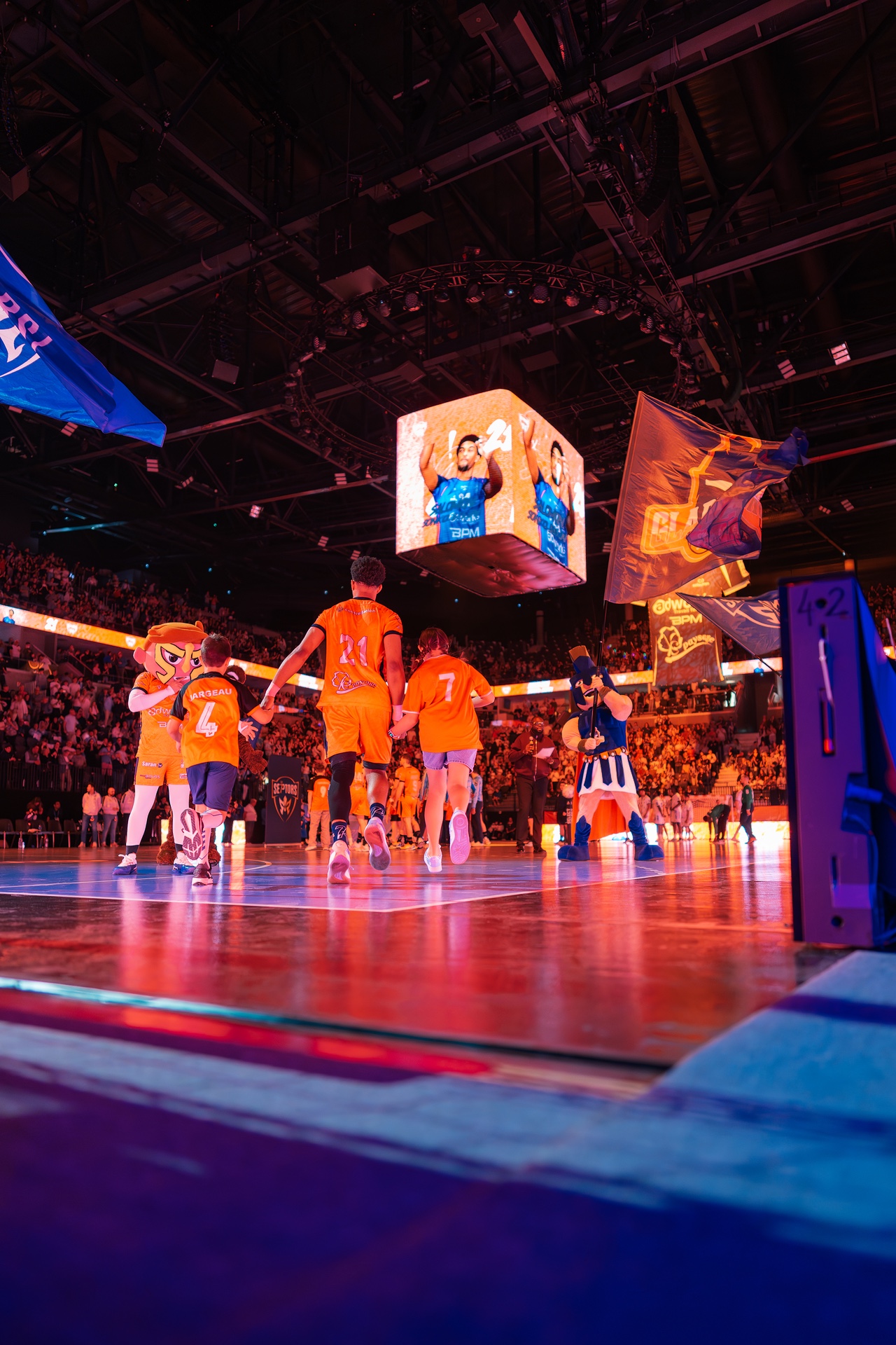 DSC01252.jpg_compressed