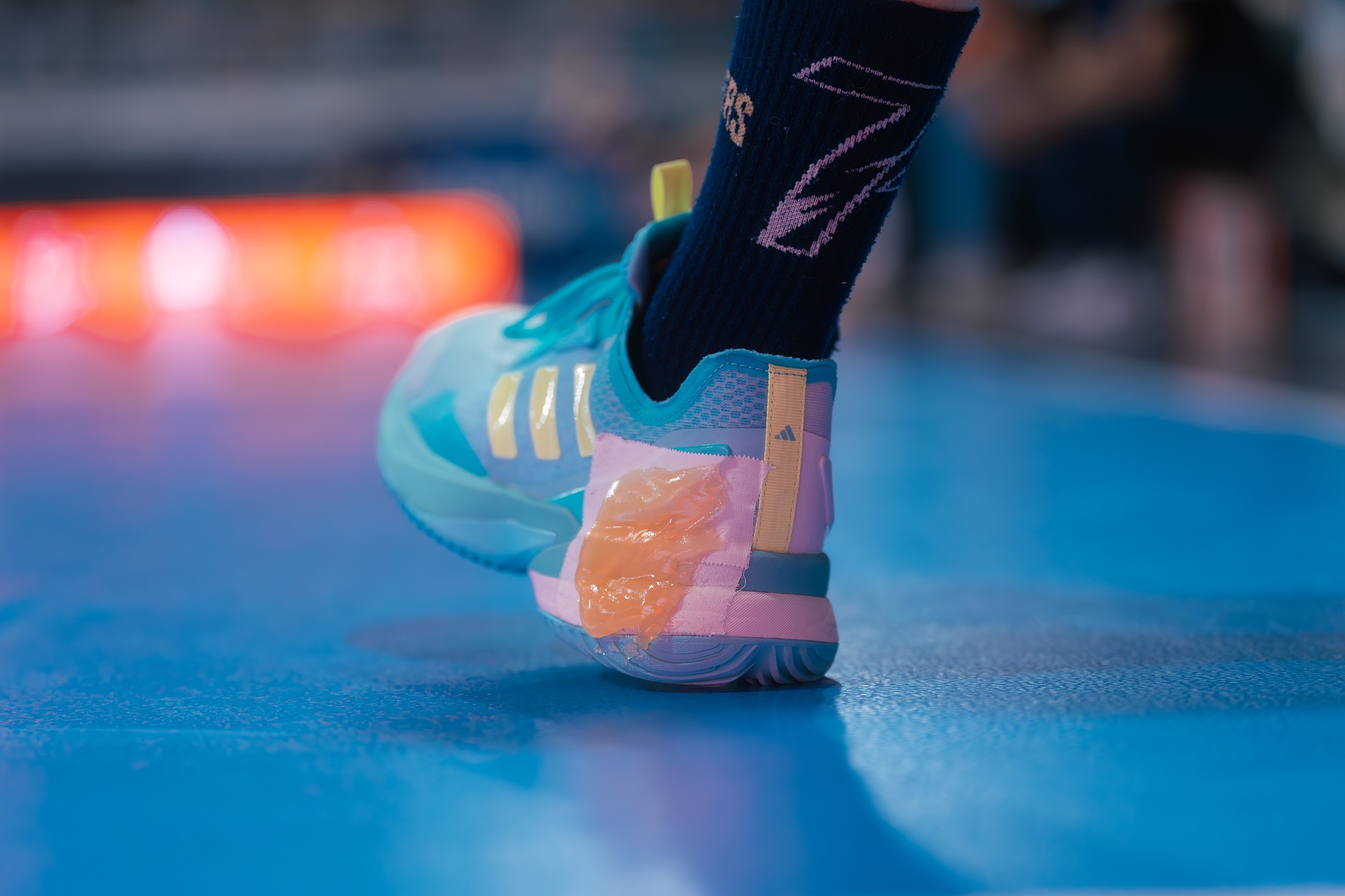 DSC01315.jpg_compressed