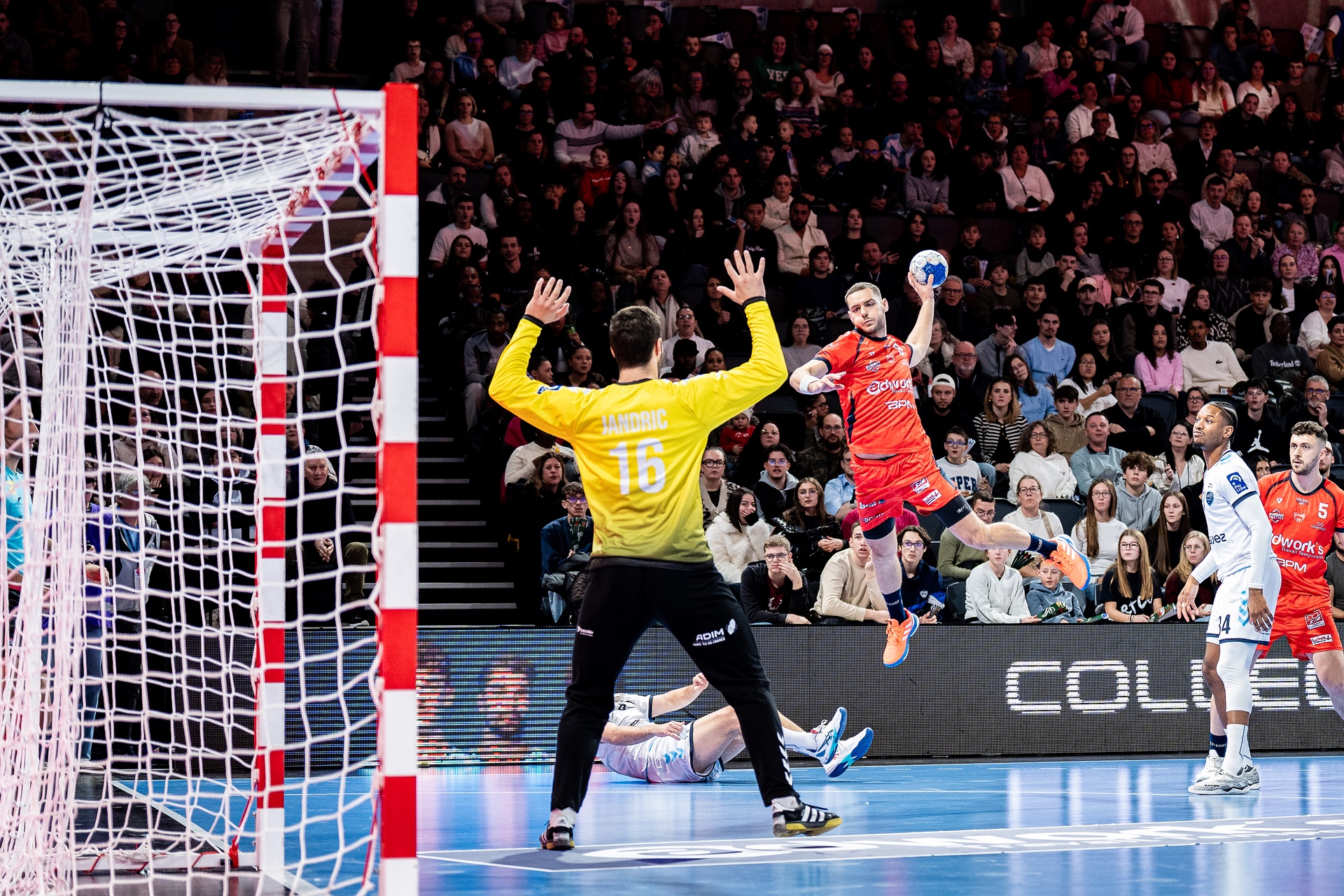 DSC01318.jpg_compressed