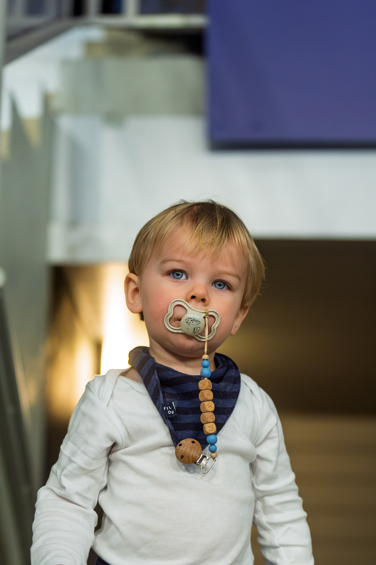 DSC01320.jpg_compressed