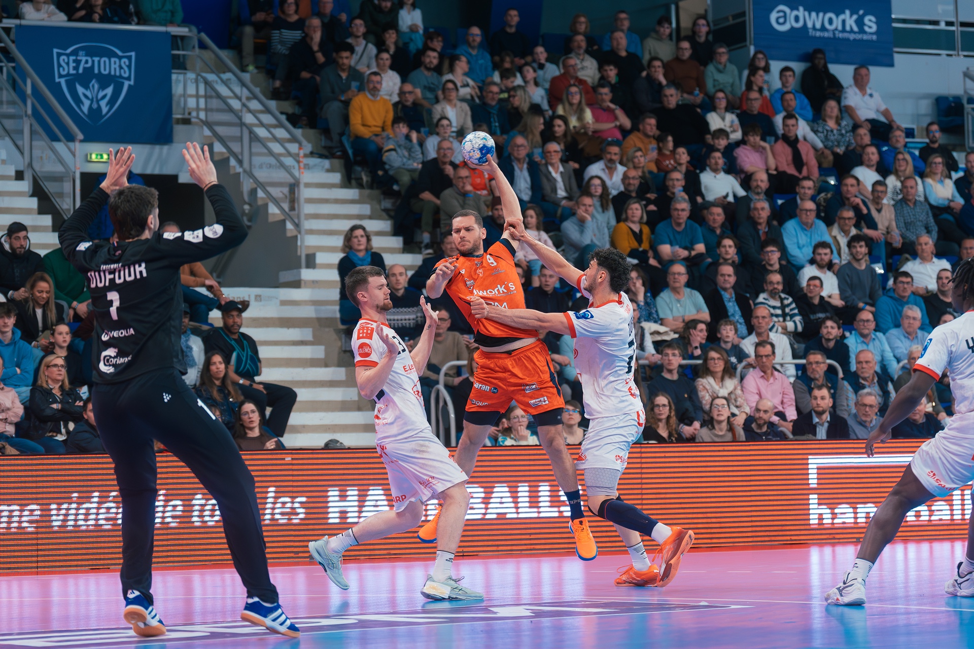 DSC01365.jpg_compressed