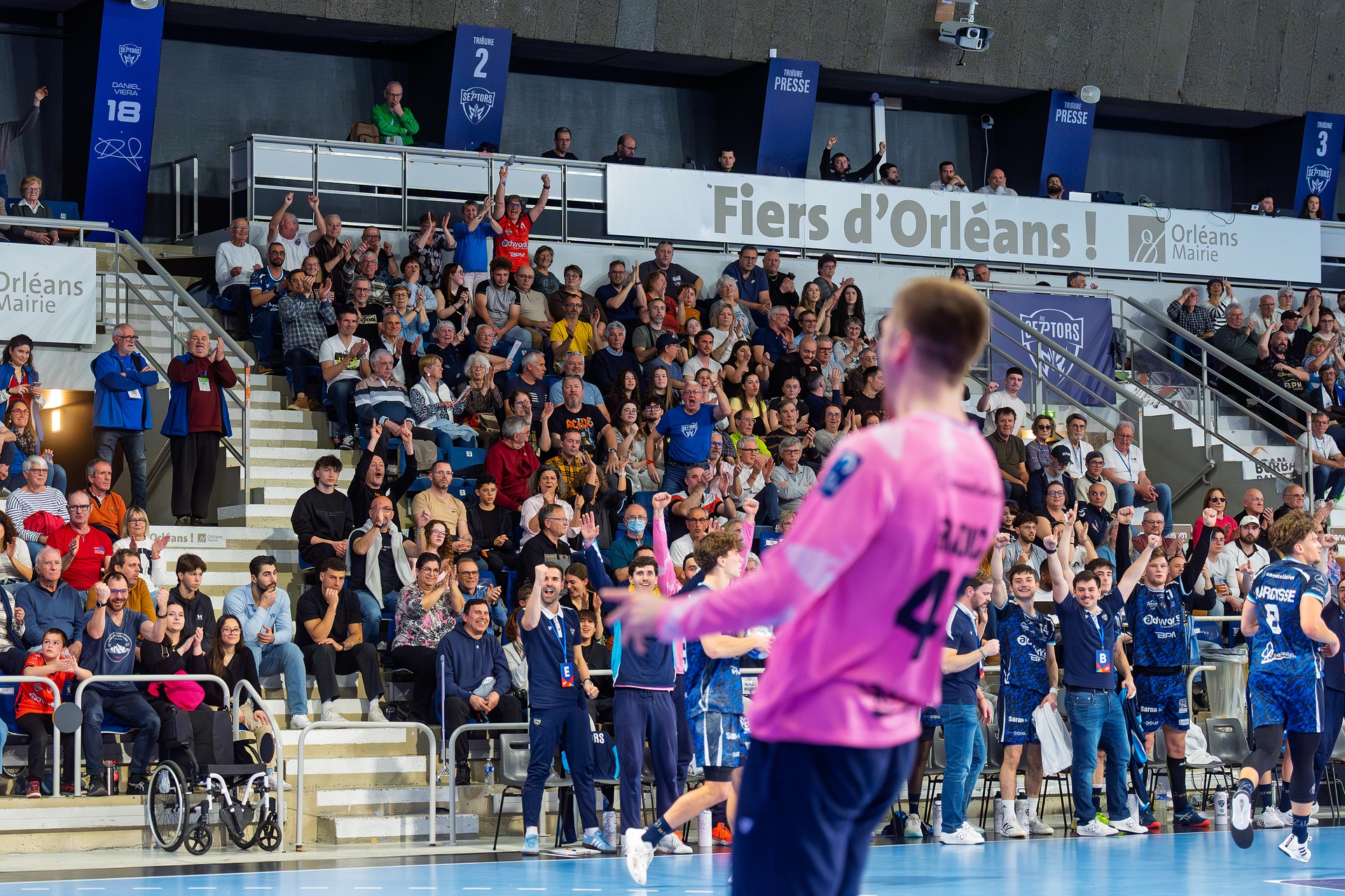 DSC01377.jpg_compressed