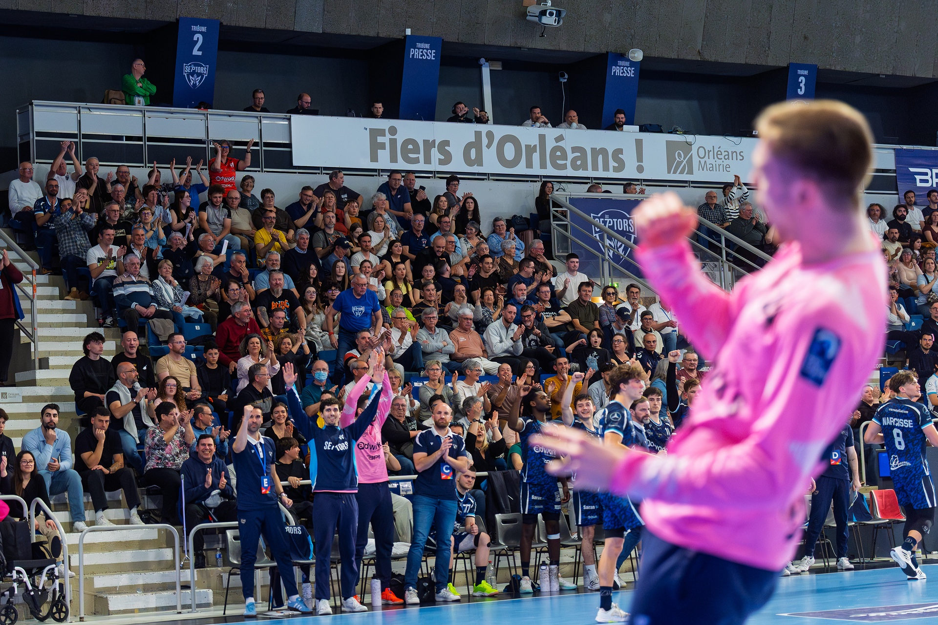 DSC01381-2.jpg_compressed