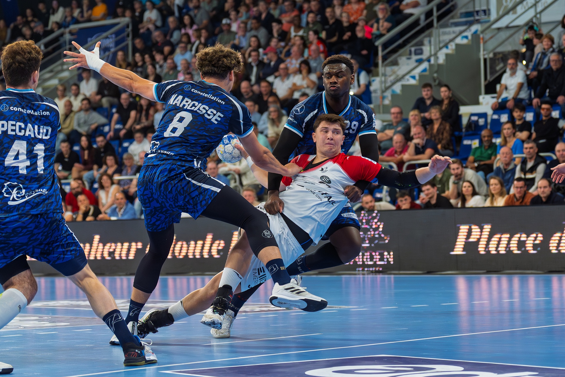 DSC01388-2.jpg_compressed