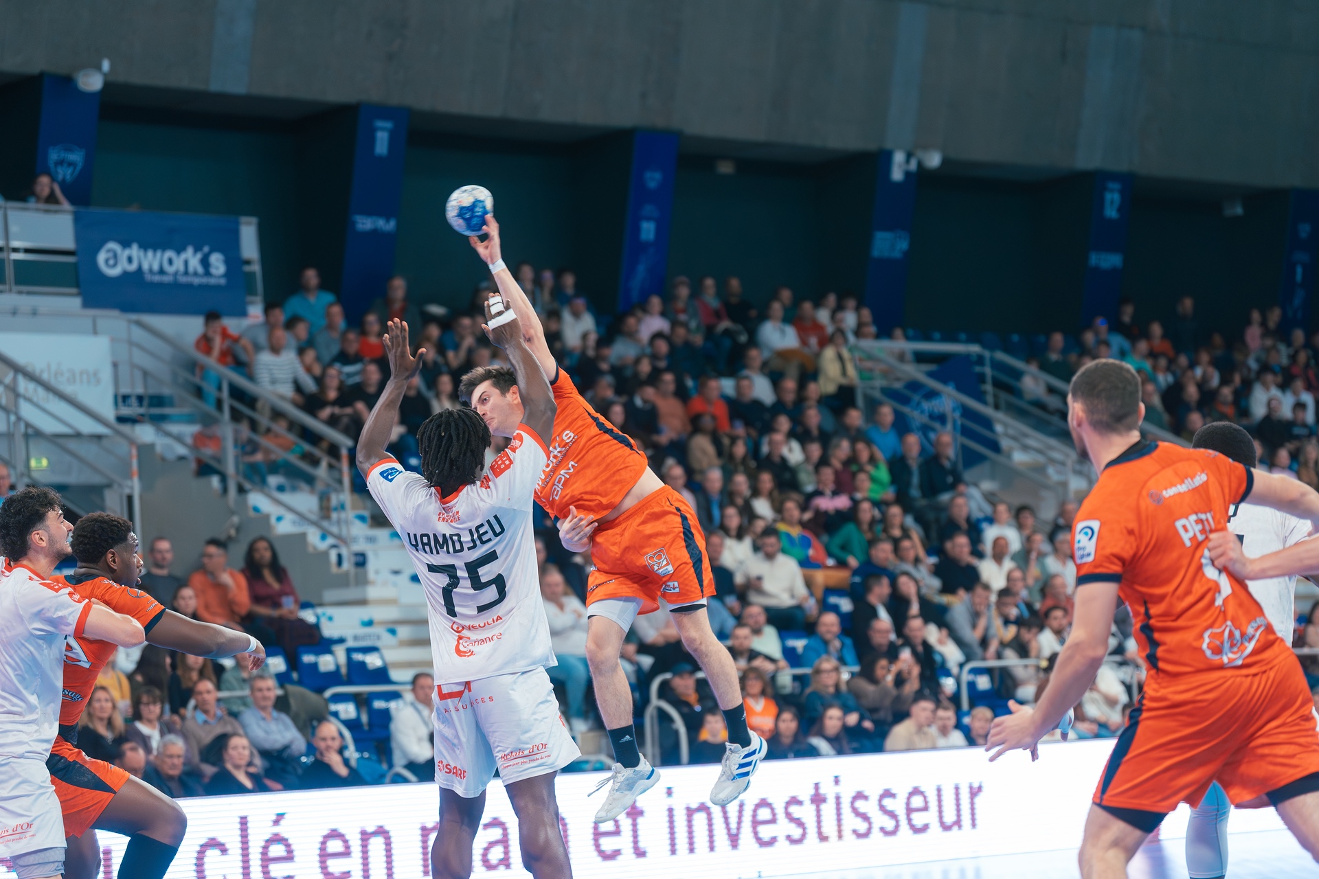 DSC01388.jpg_compressed