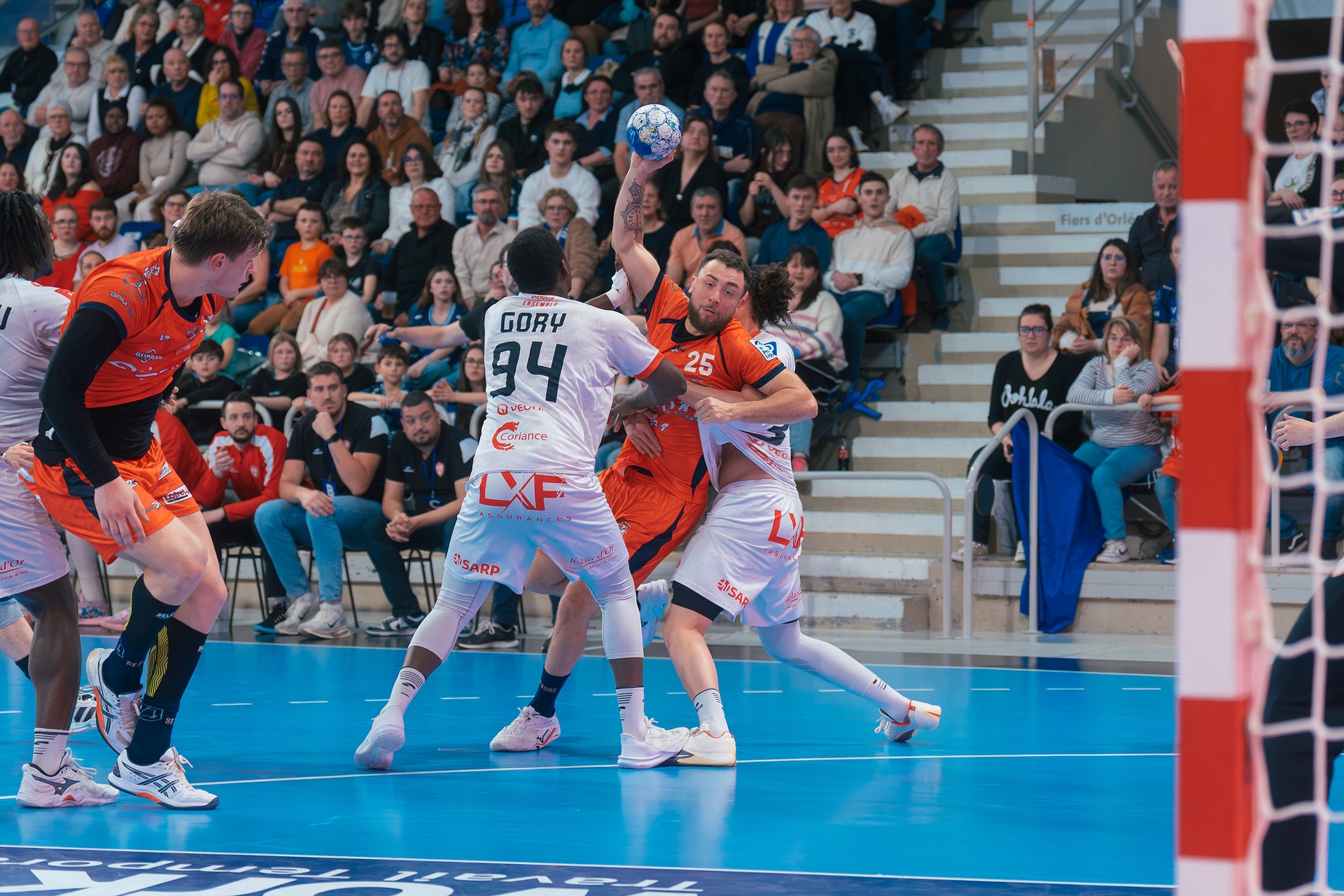 DSC01413.jpg_compressed